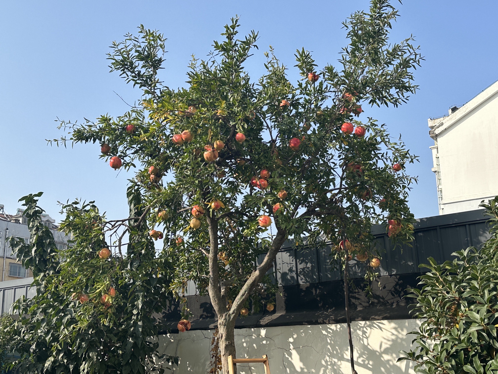 康乐健身广场