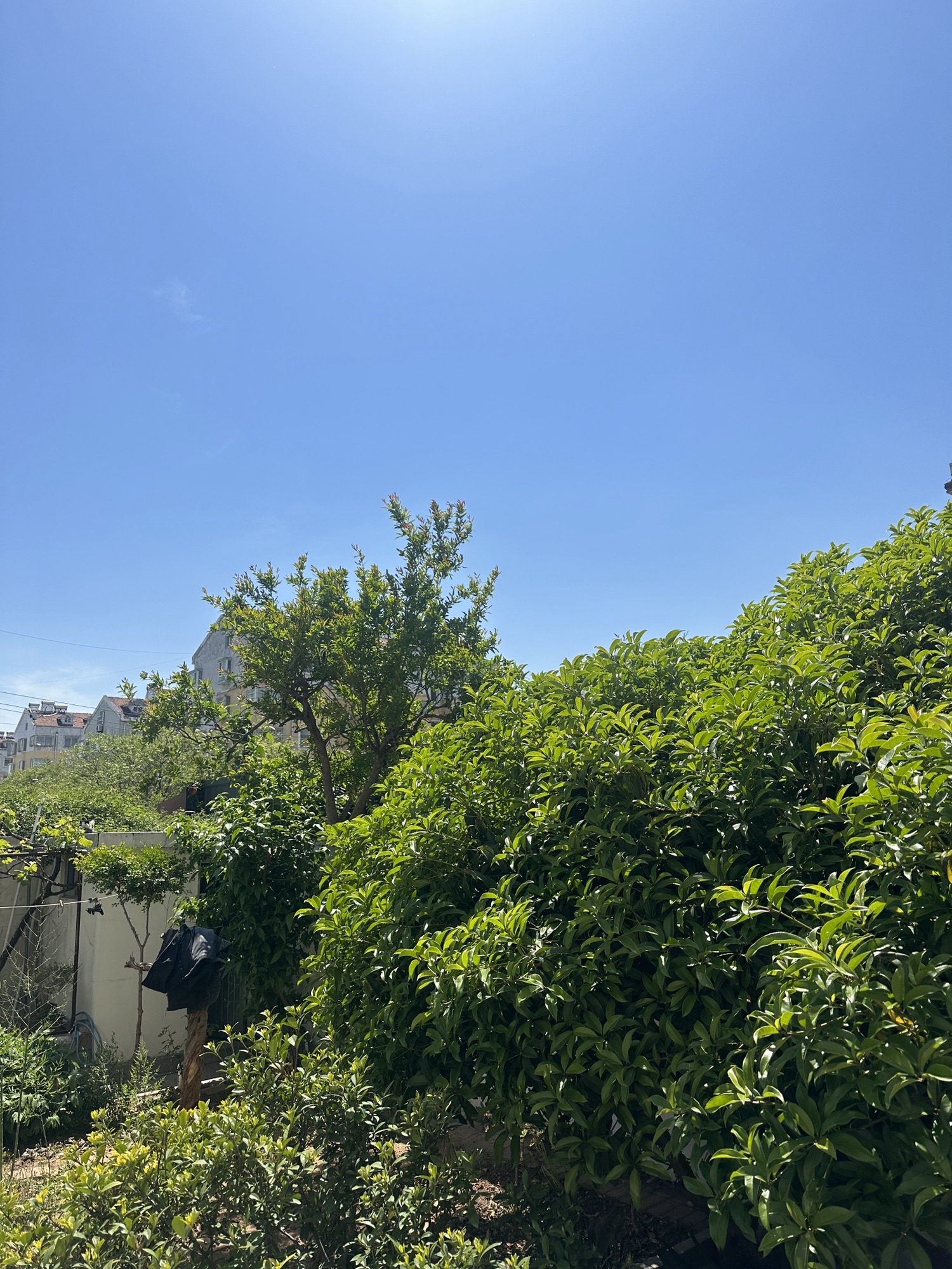 康乐健身广场旅行图片
