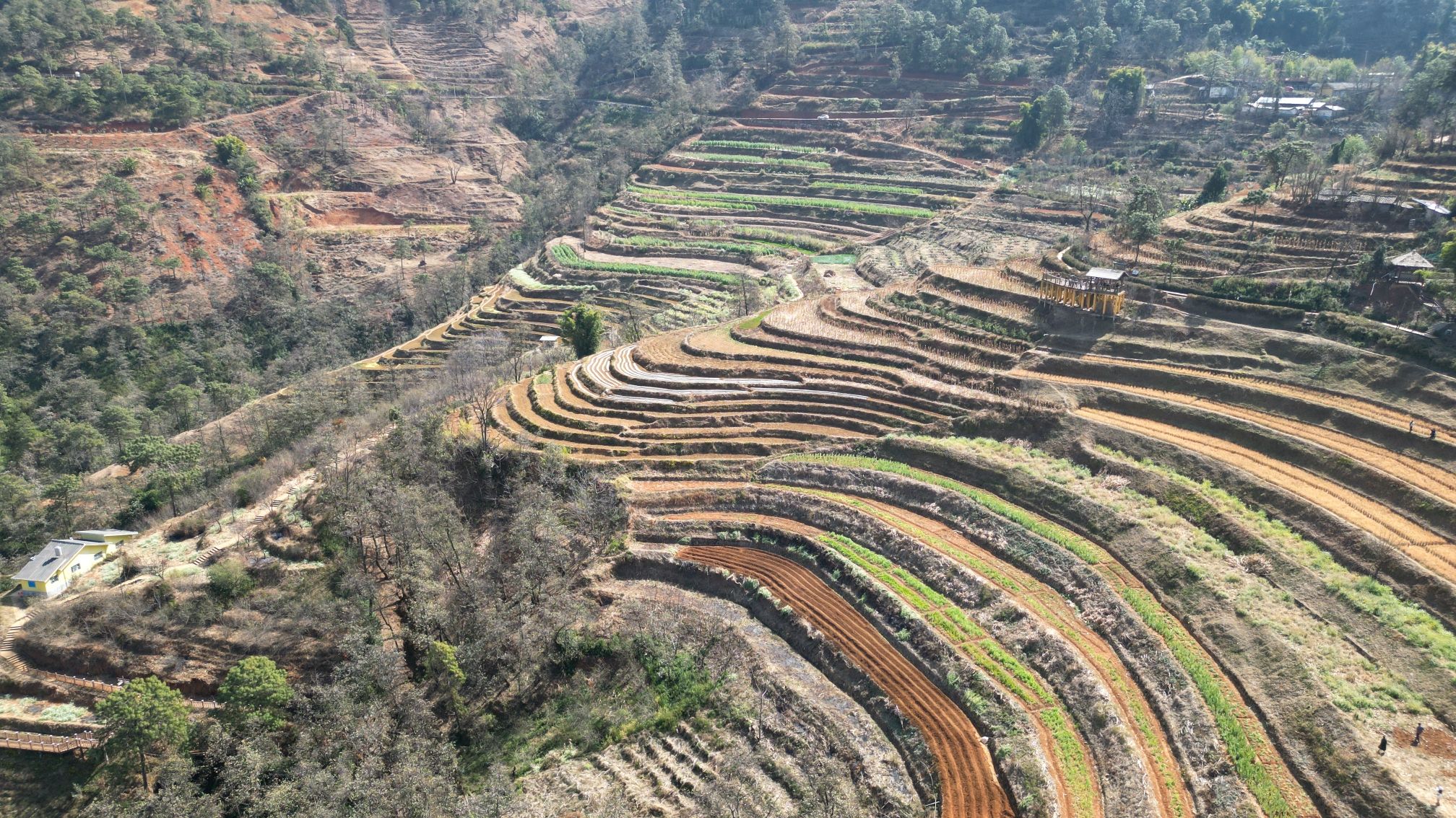米易梯田