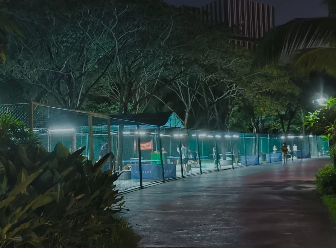 红树林生态公园