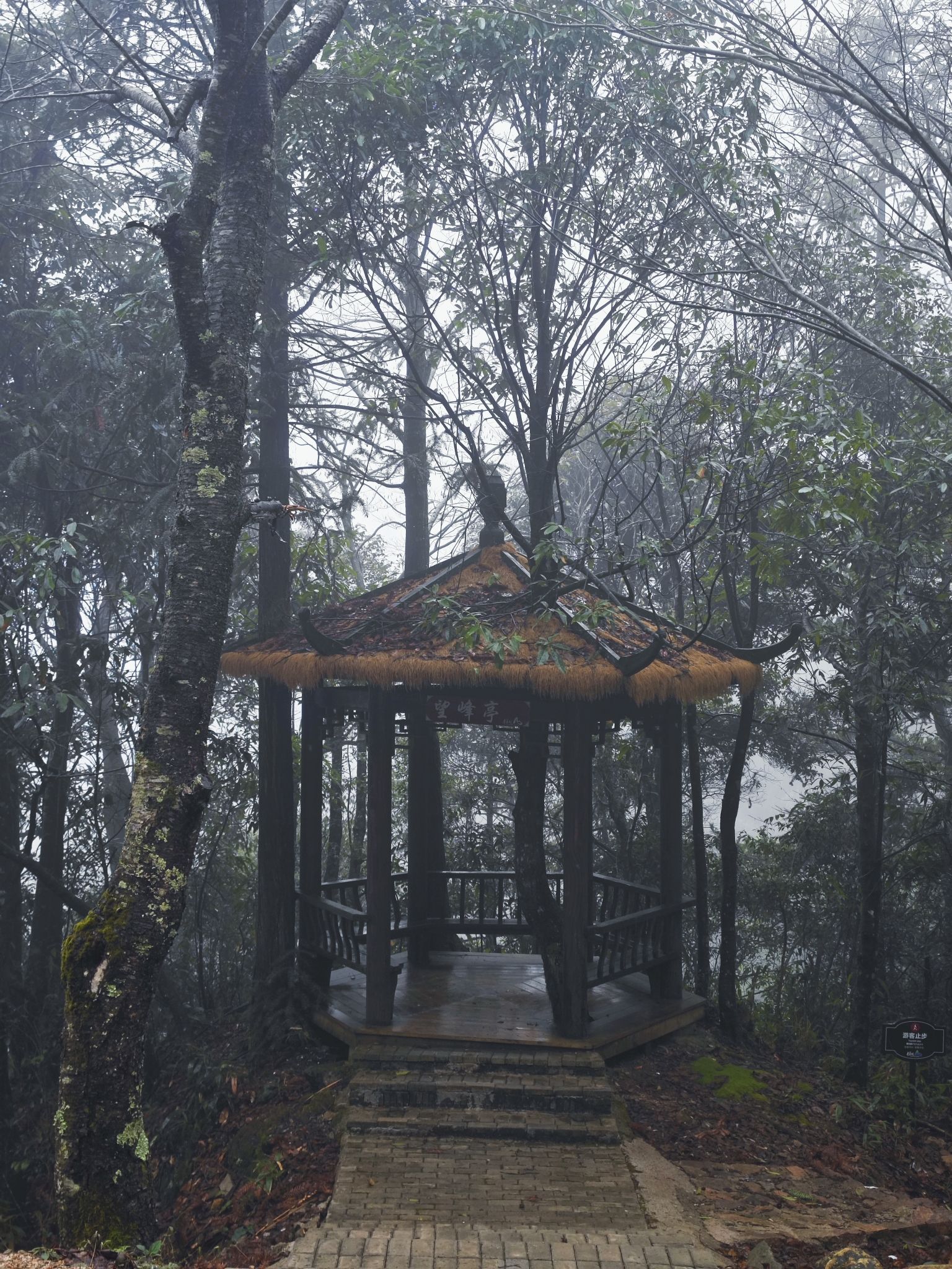 青茅境风景区