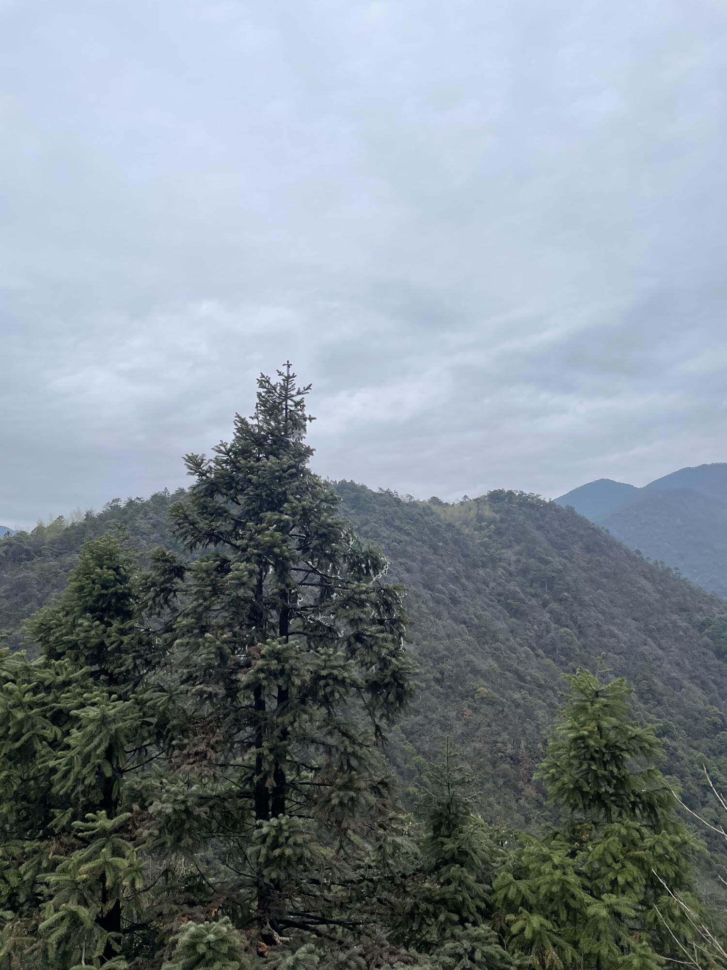 青茅境风景区旅行图片