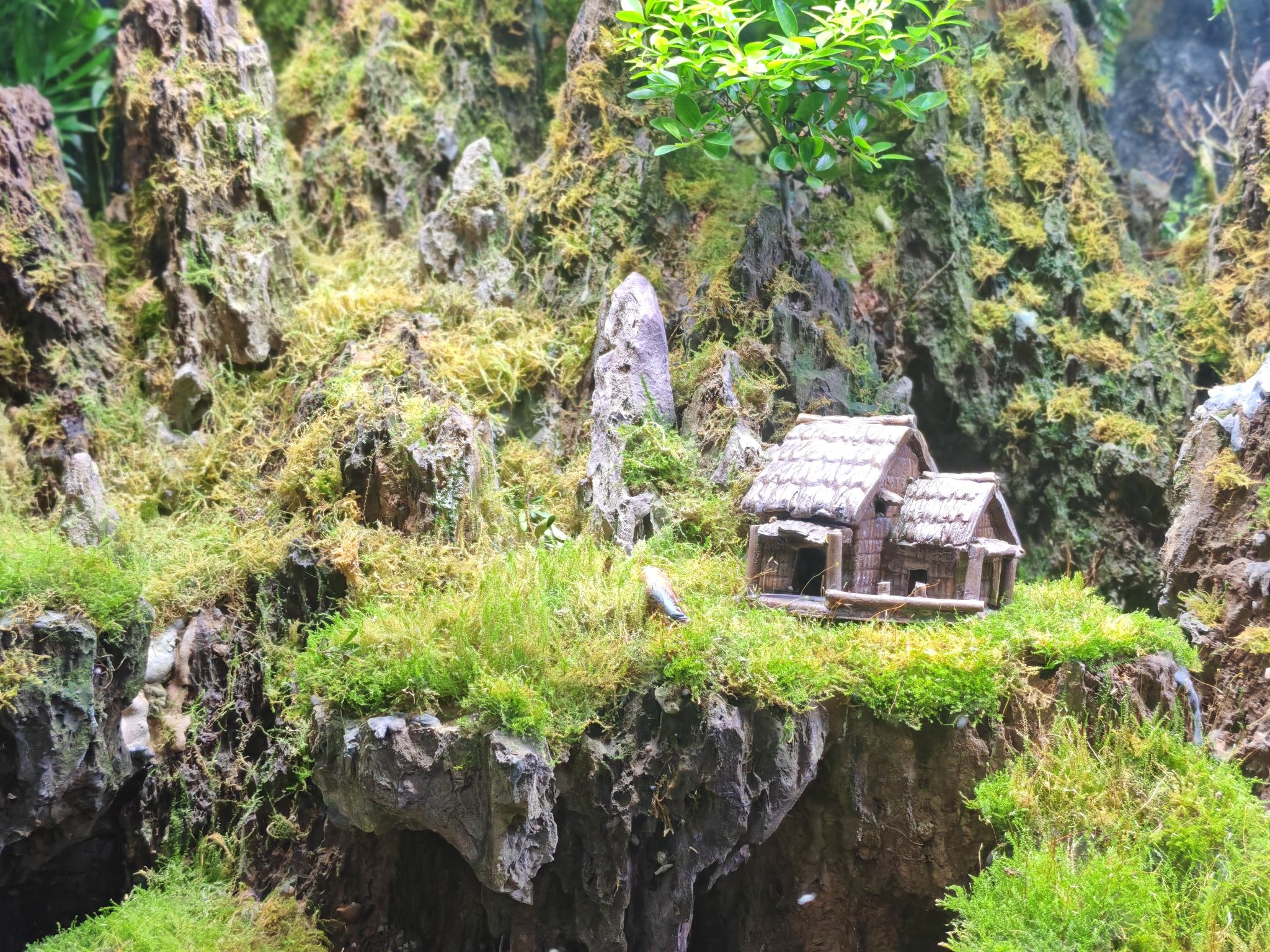 临沂海洋世界主题公园旅行图片