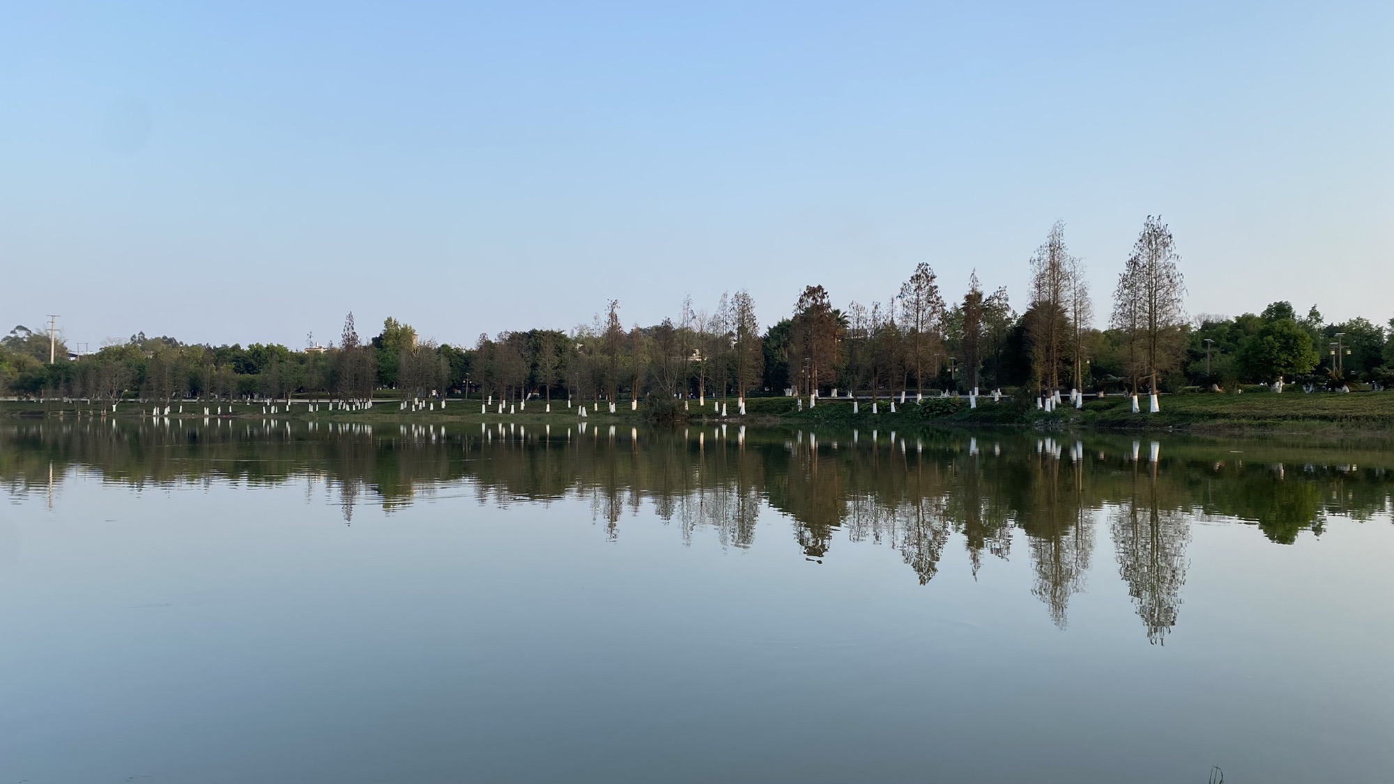 玉林市湿地公园旅行图片