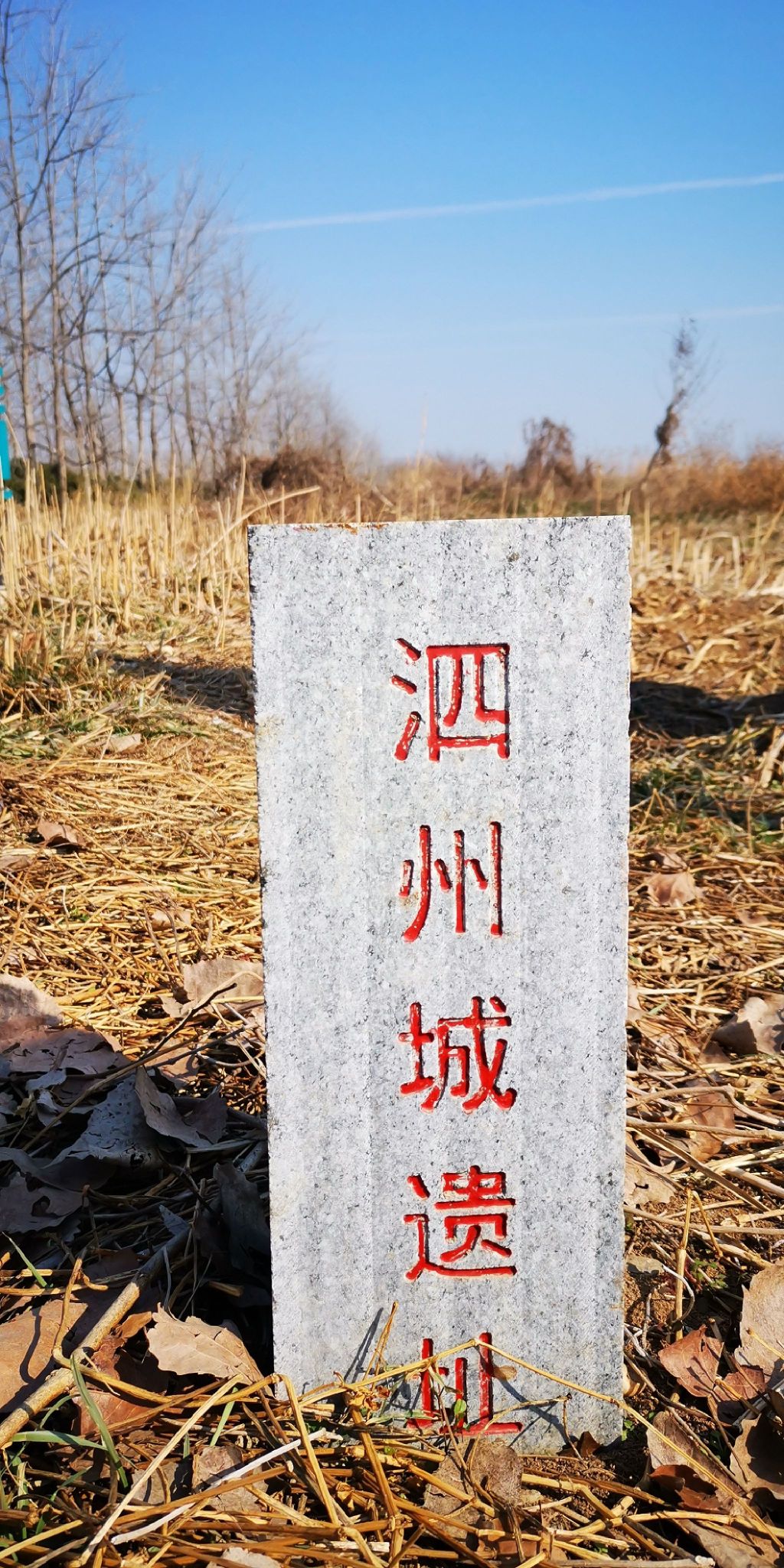 泗州城遗址旅行图片