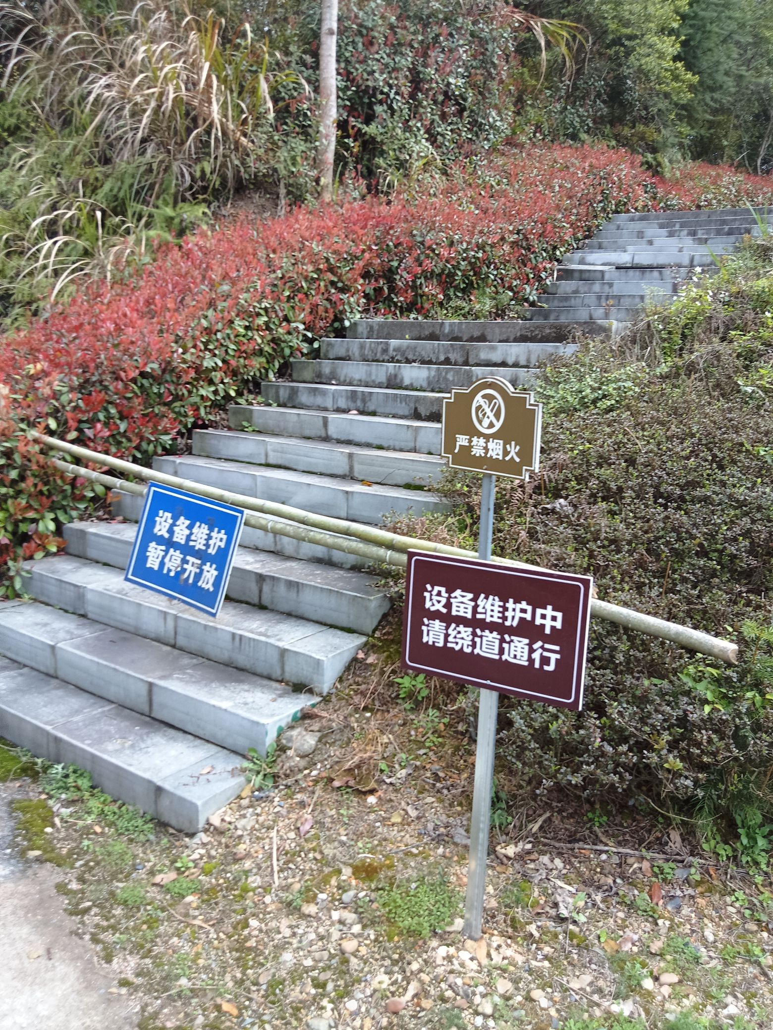 花牵谷景区