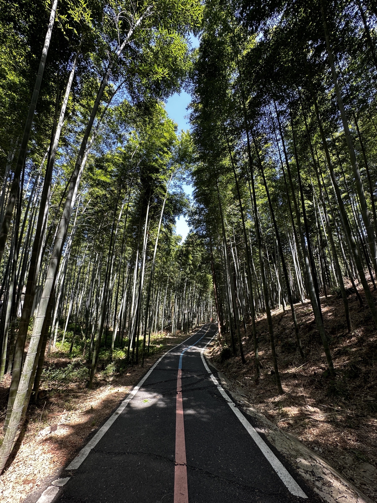丫髻山景区