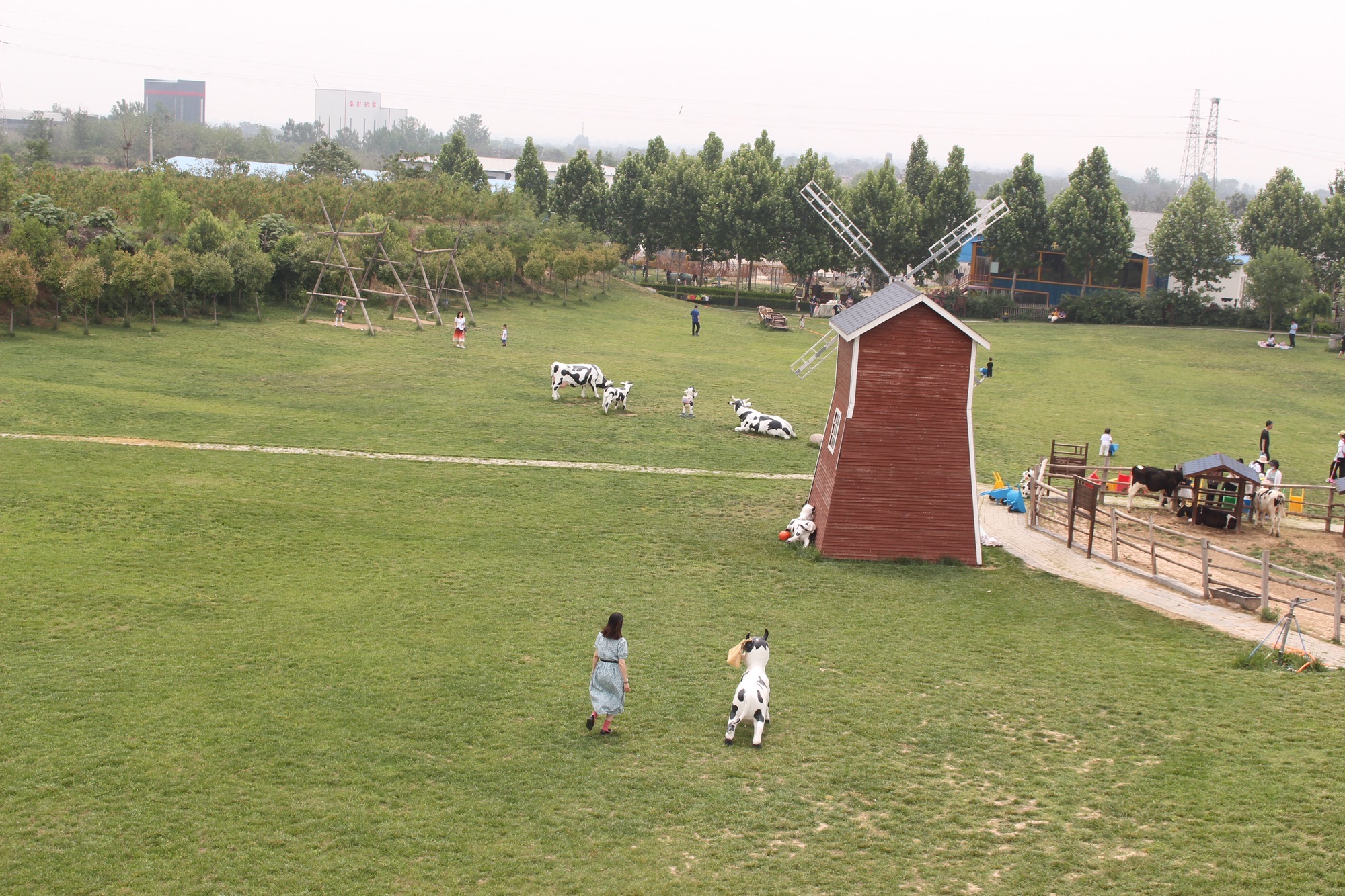 昌明奶牛科普乐园旅行图片