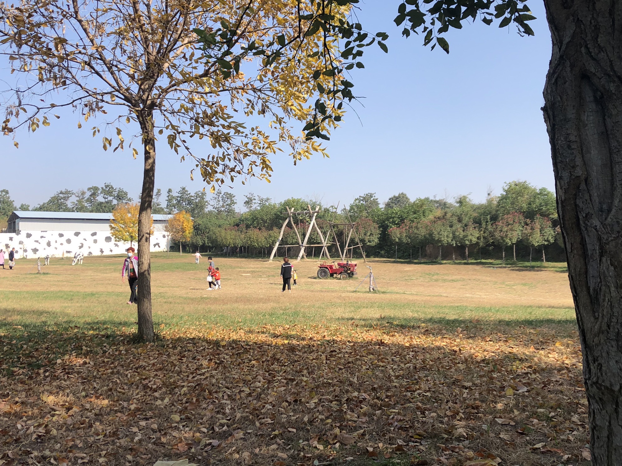 昌明奶牛科普乐园旅行图片