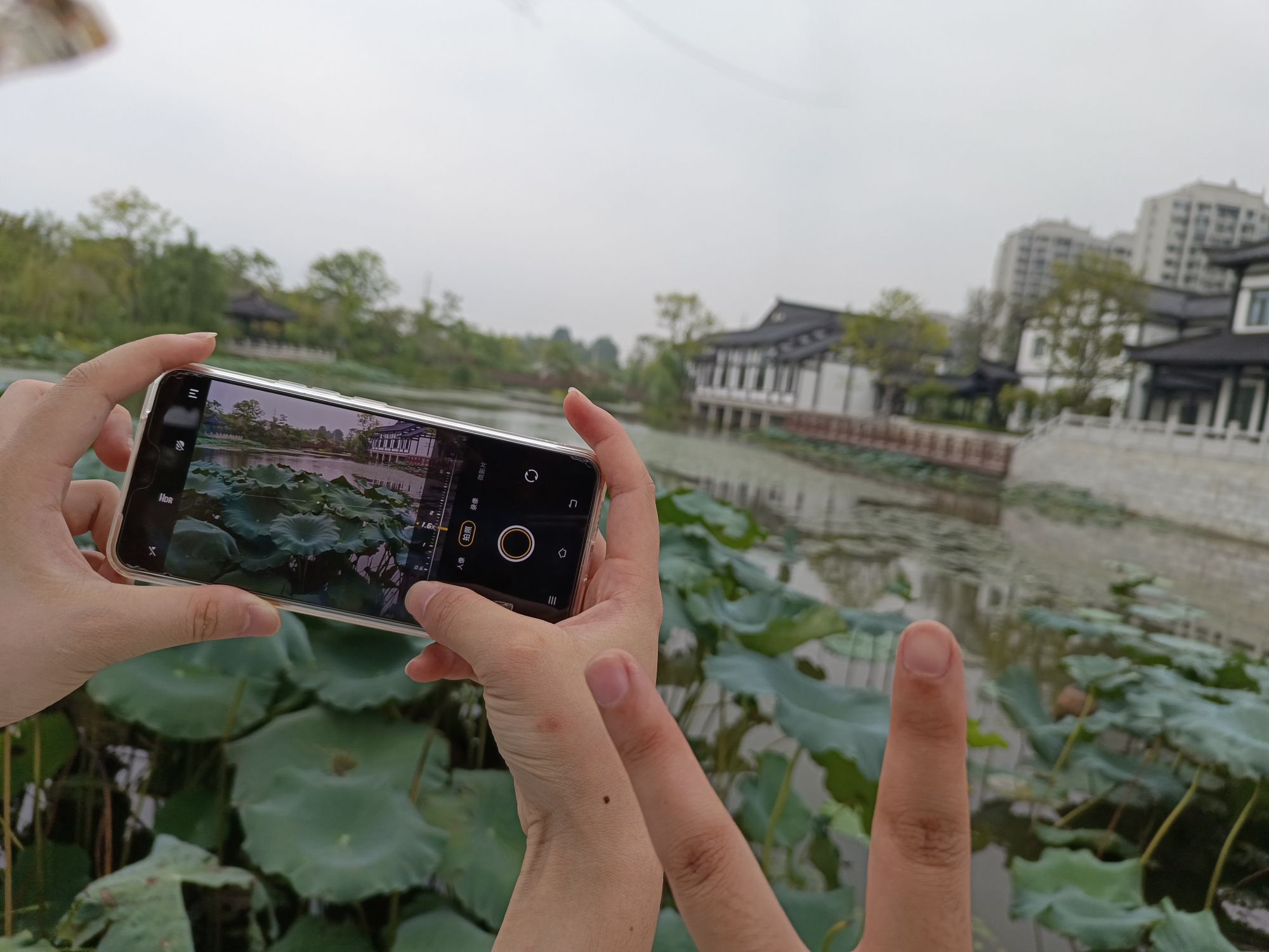 二乔公园旅行图片