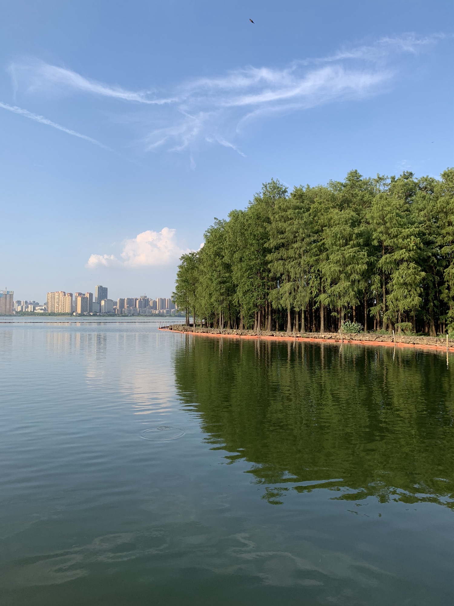 洪山区南湖游园绿道旅行图片