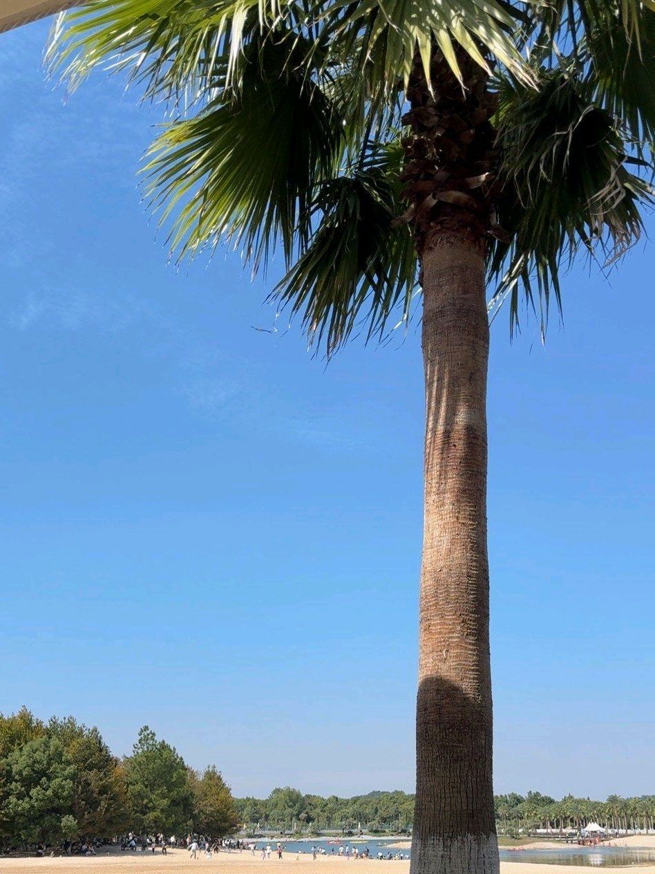萍乡仙凤三宝景区旅行图片