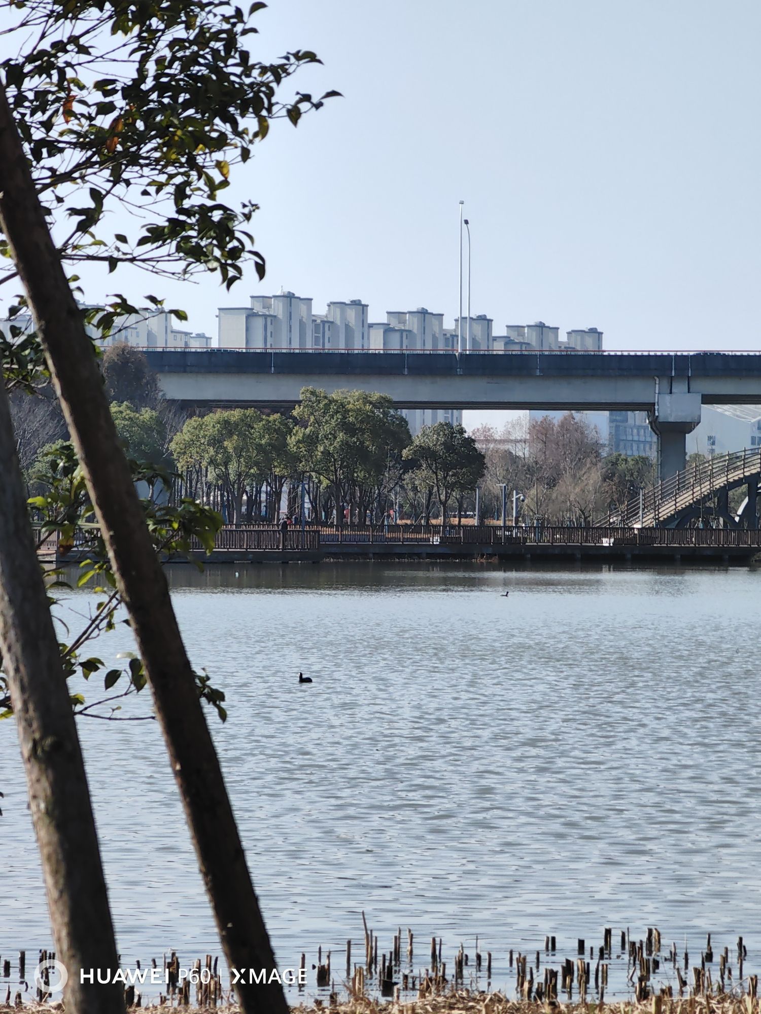 沔青公园