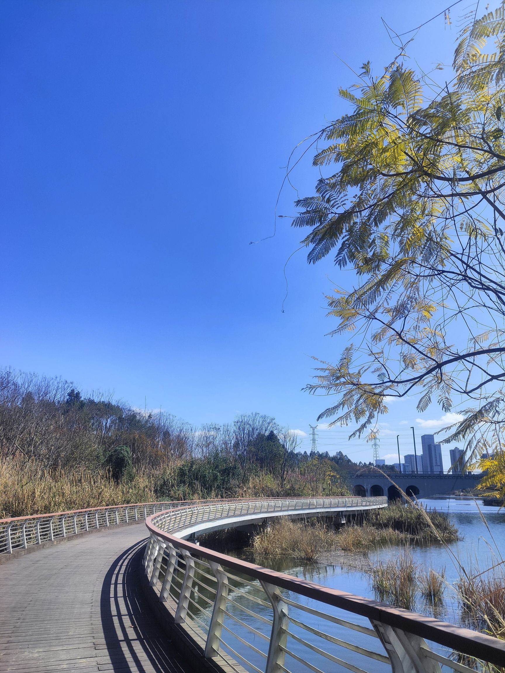 鹿溪河生态区