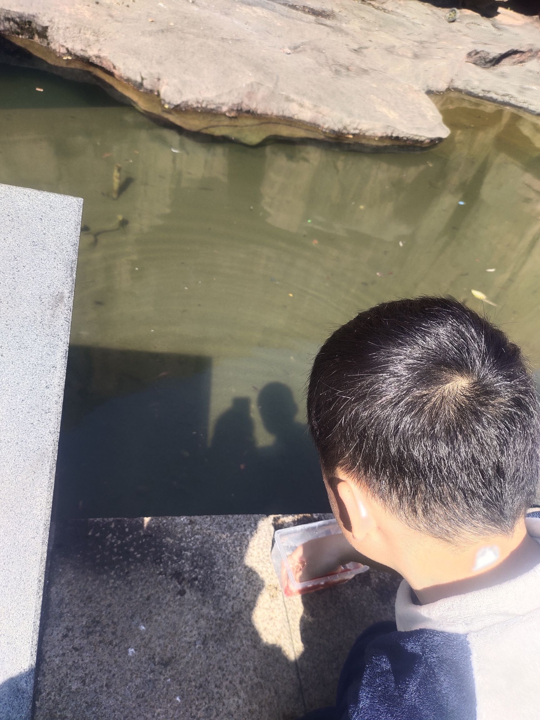 一曼公园旅行图片