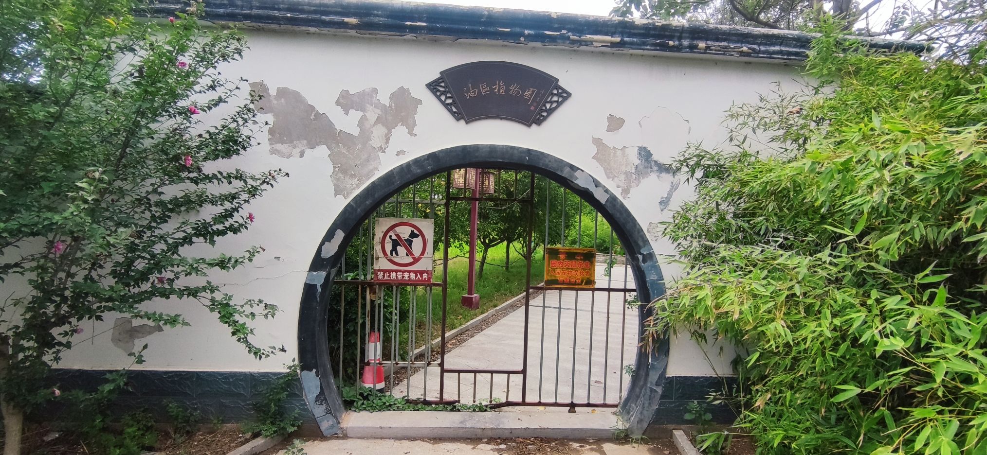 油区植物园旅行图片