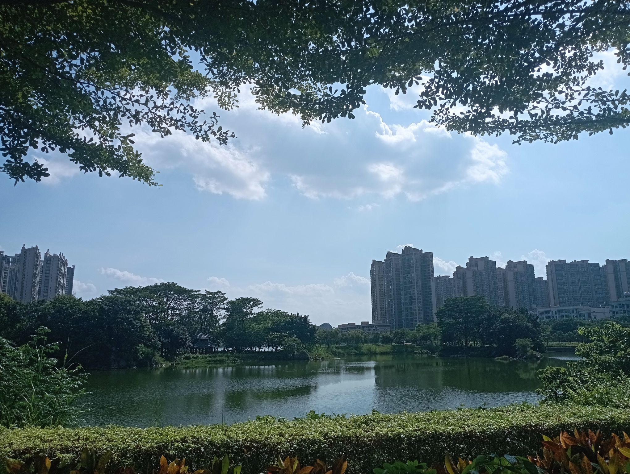 东湖公园