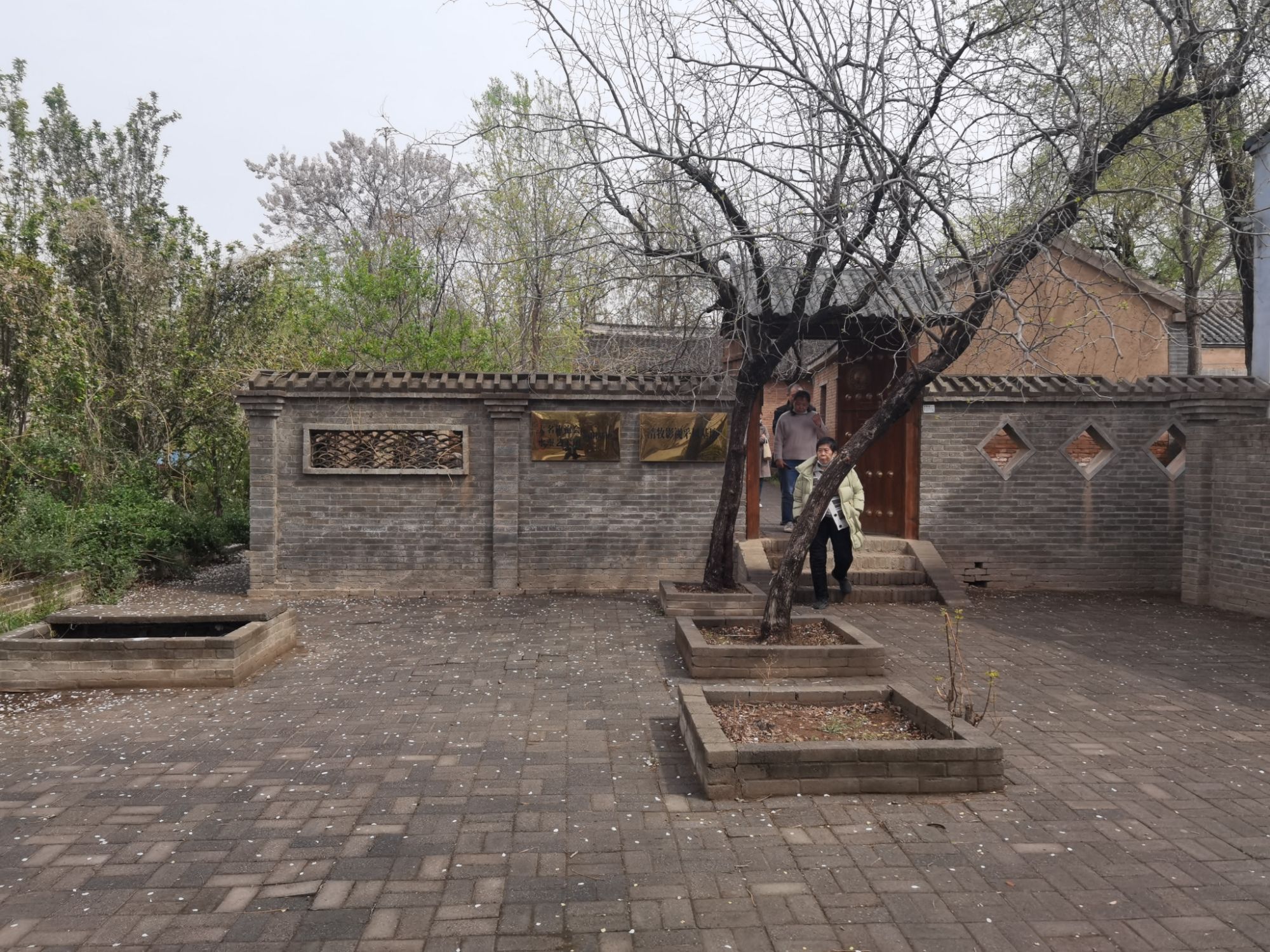 邓丽君祖居旅行图片
