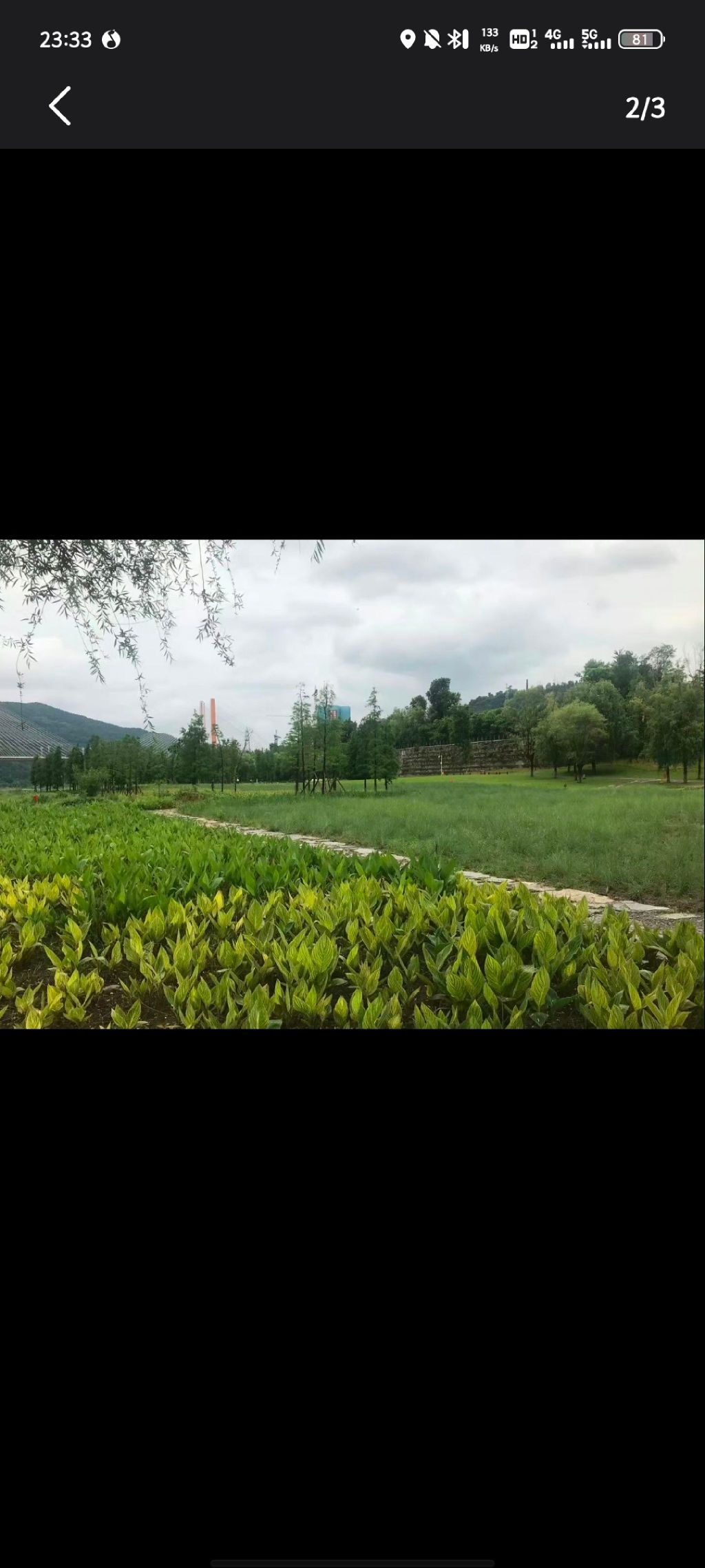 塔沱湿地公园旅行图片