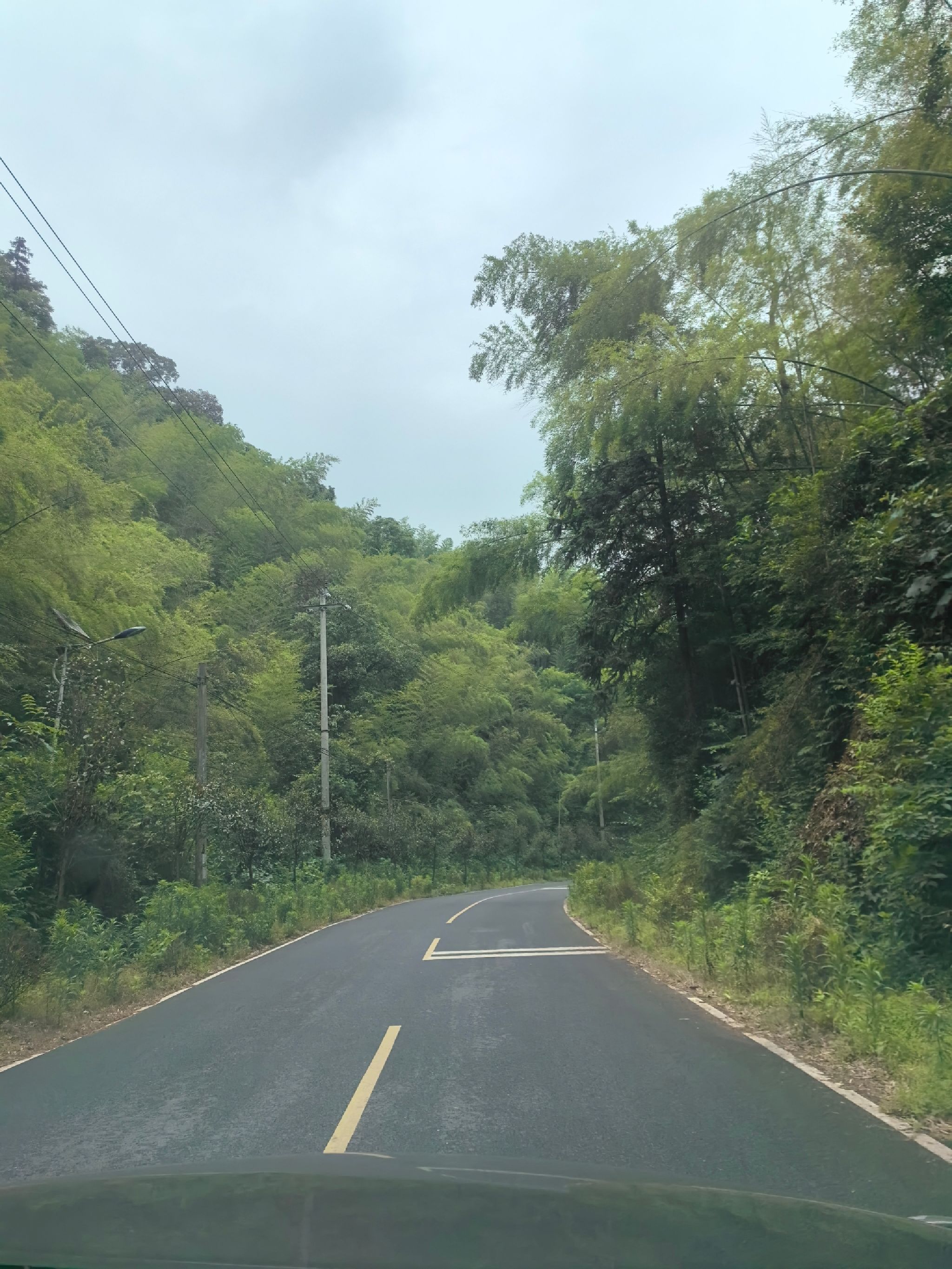 汉寿竹海国家森林公园
