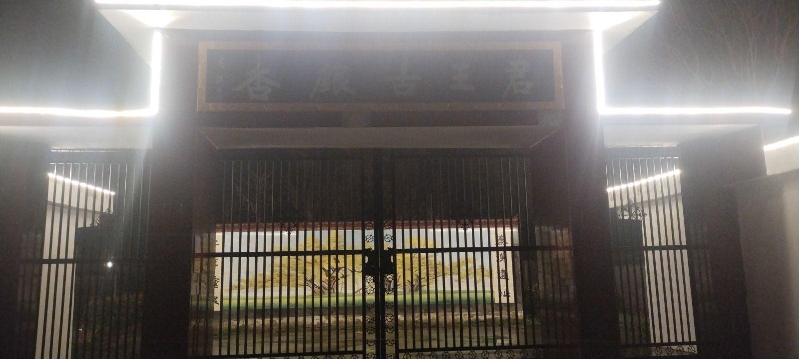 君王古银杏旅行图片