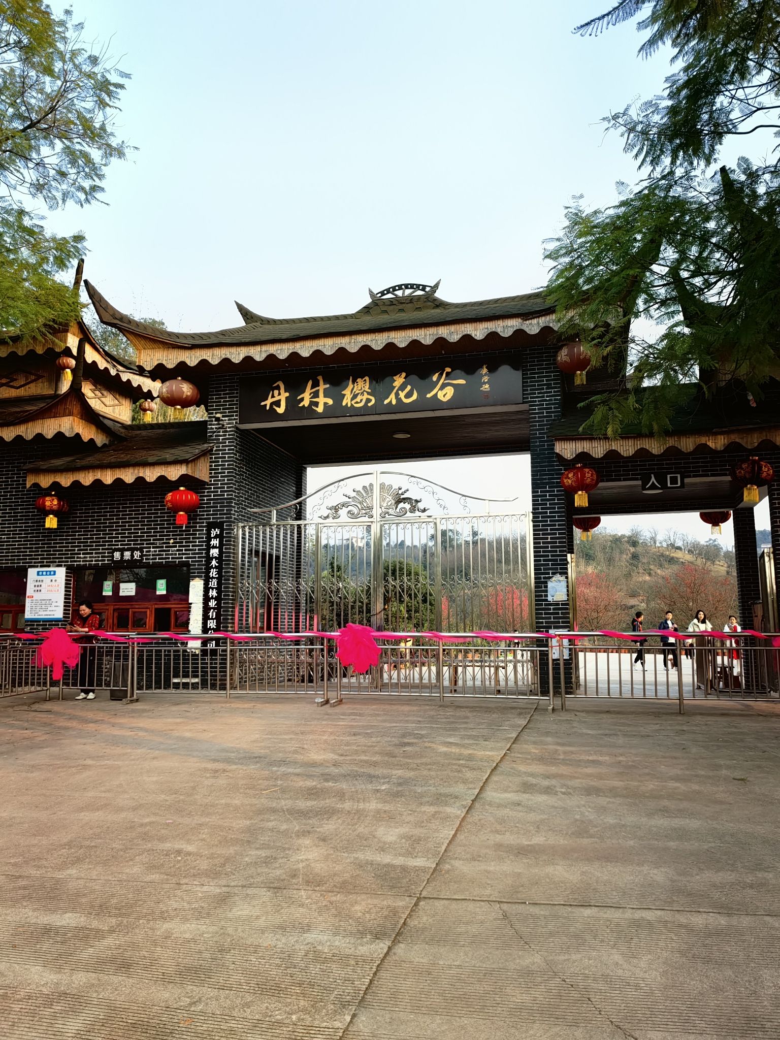丹林樱花谷旅行图片