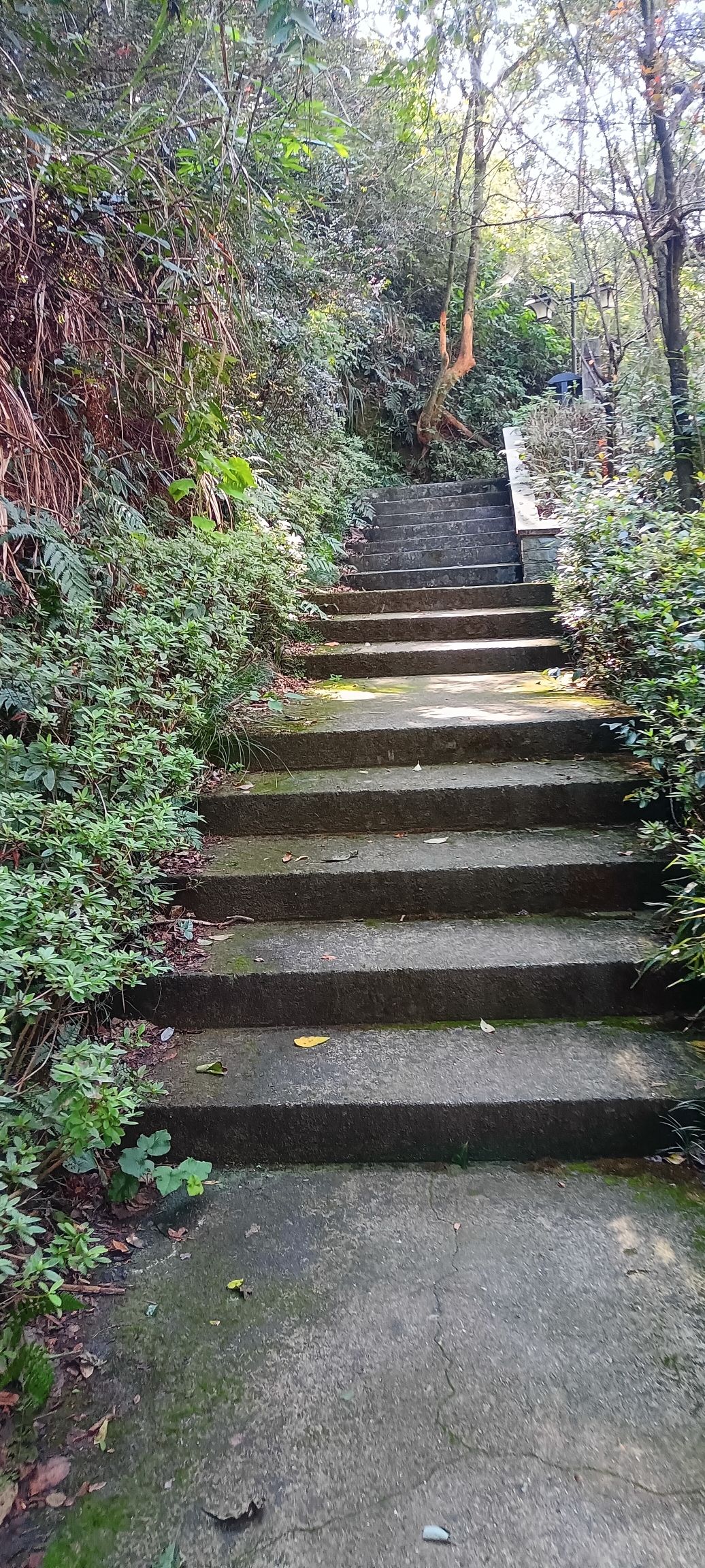 华埠镇橙山公园