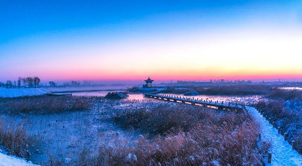 夏津九龙口国家湿地公园
