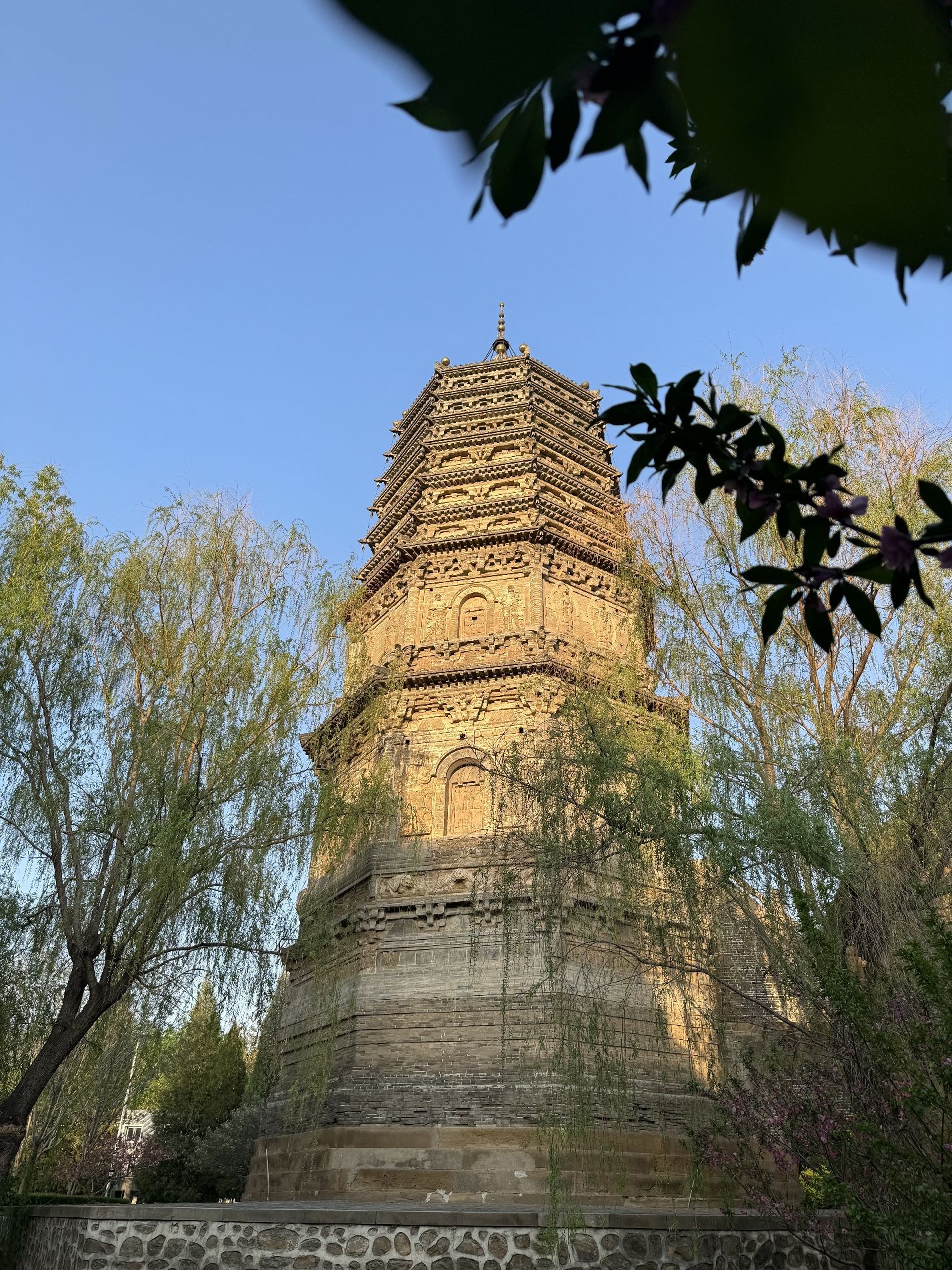 大城子塔旅行图片
