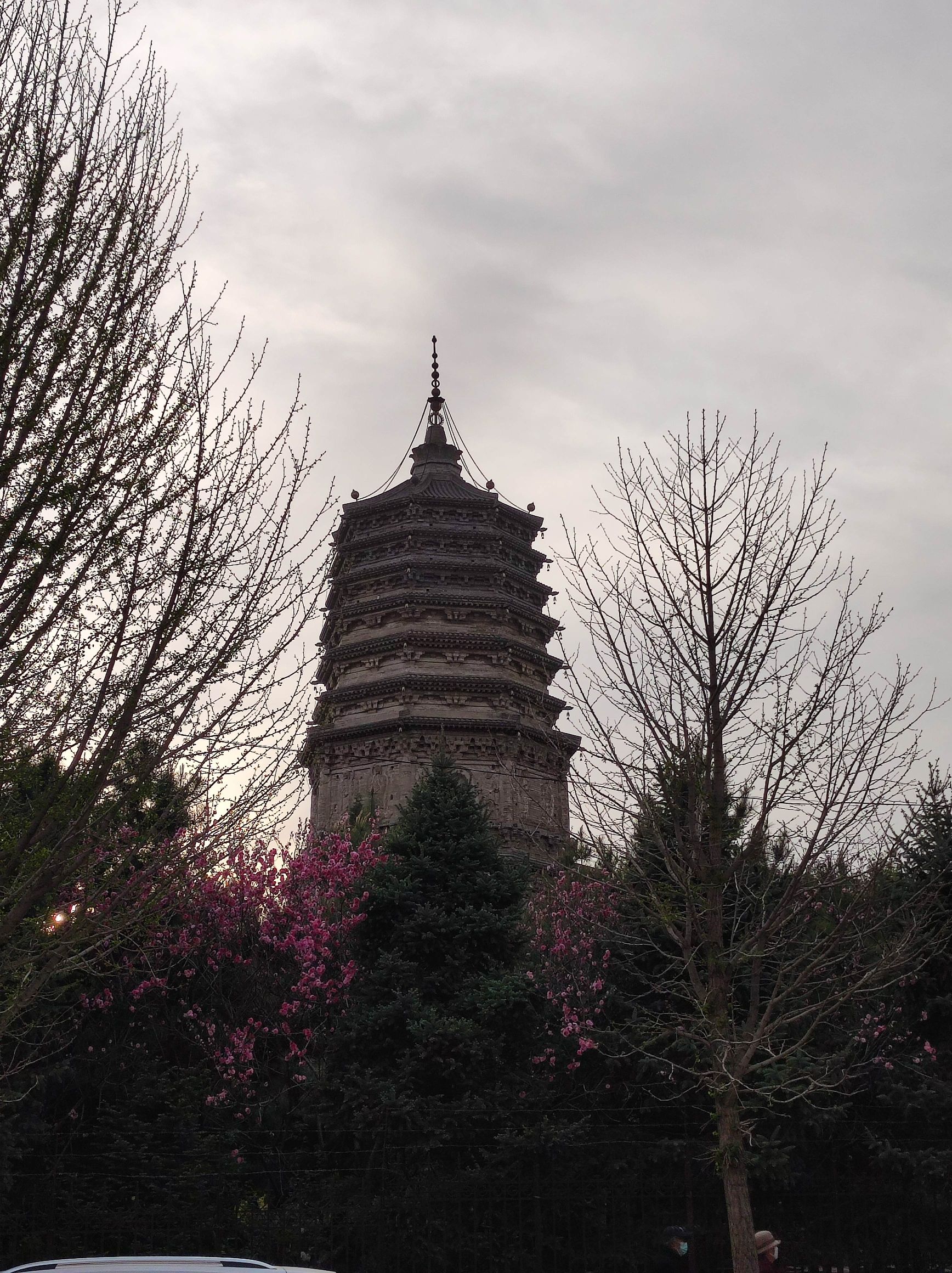 大城子塔旅行图片