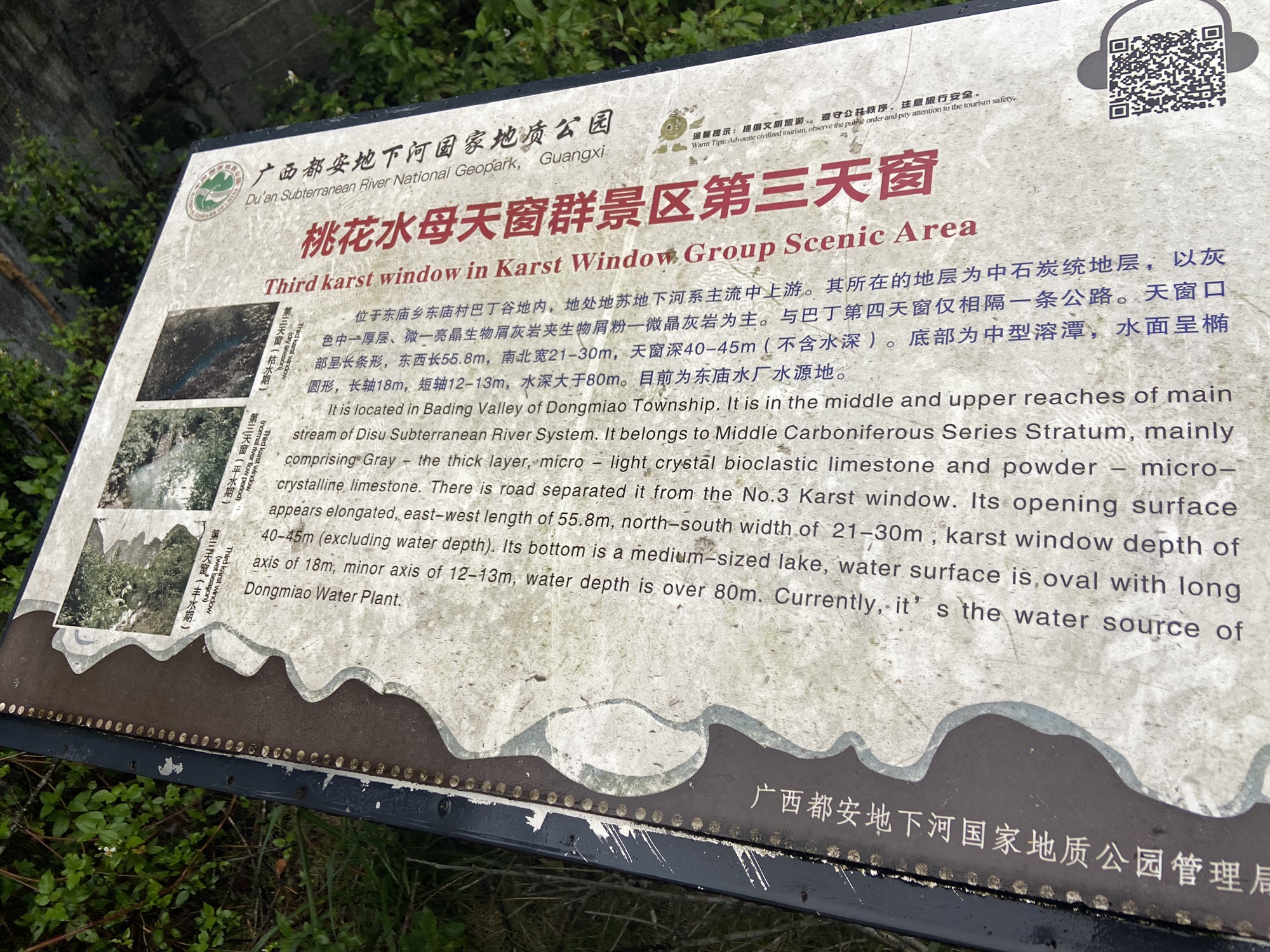 桃花水母第四天窗