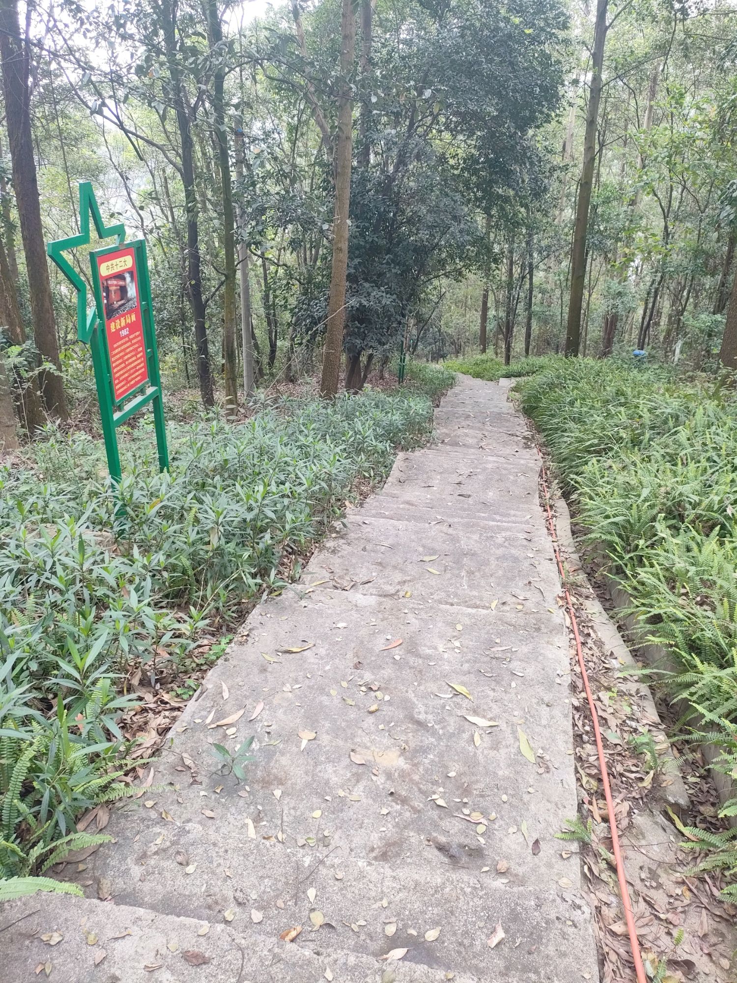 崖鹰山公园旅行图片