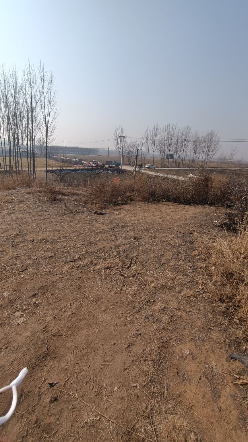 影三郎古墓旅行图片