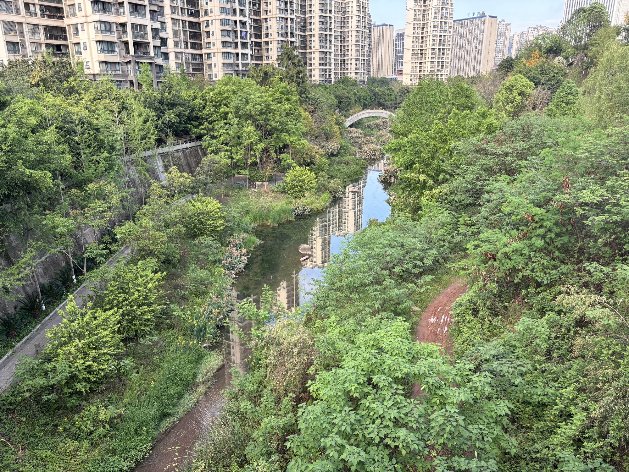 栖凤公园