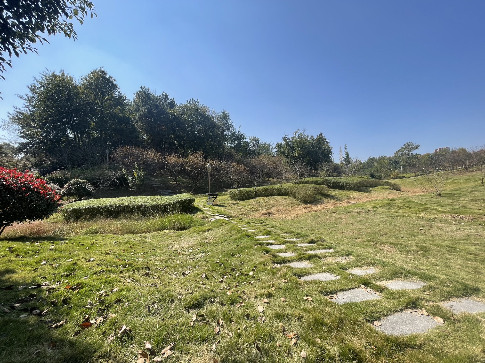 文峰公园旅行图片