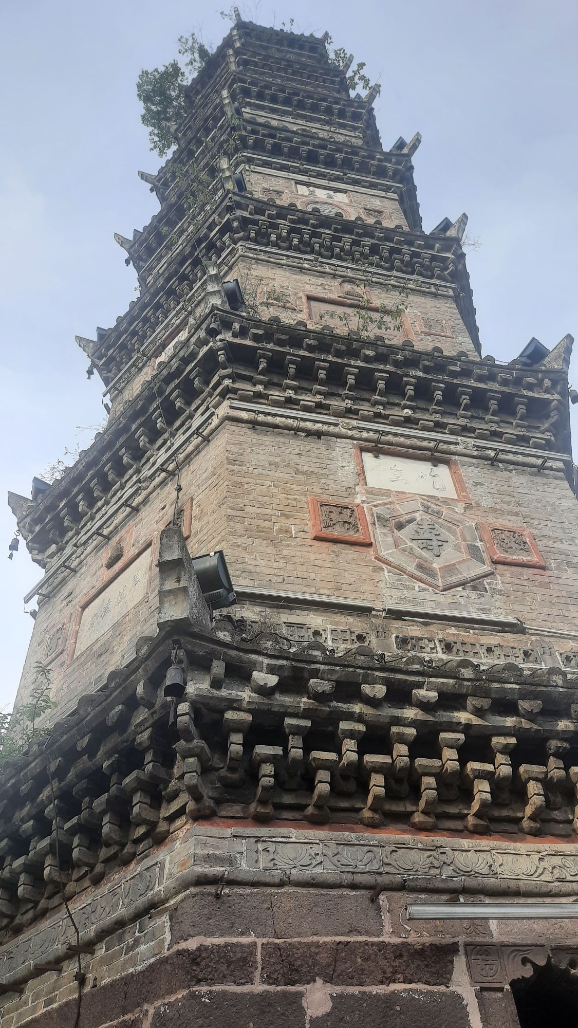 文峰公园旅行图片