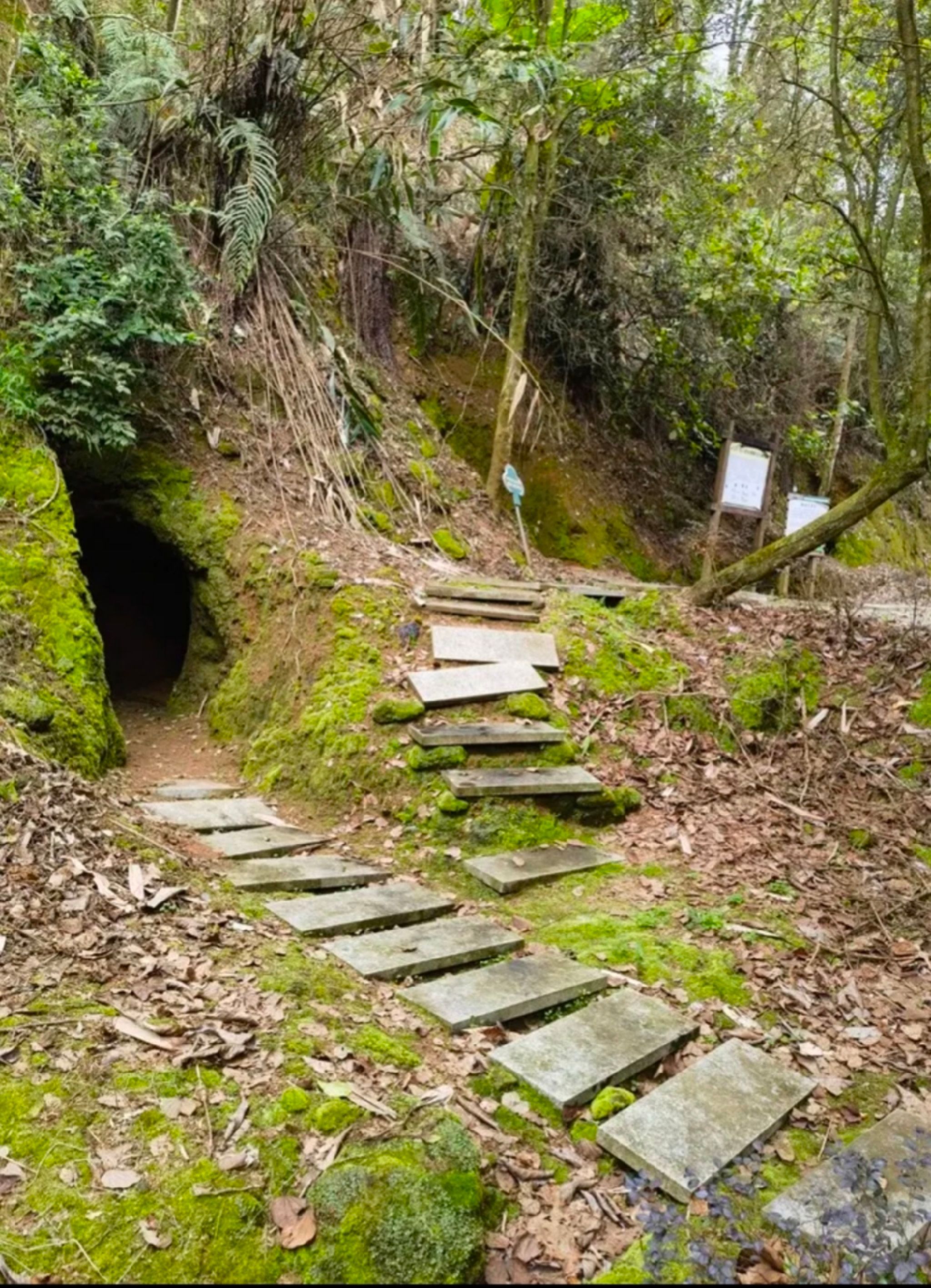 六万山森林公园