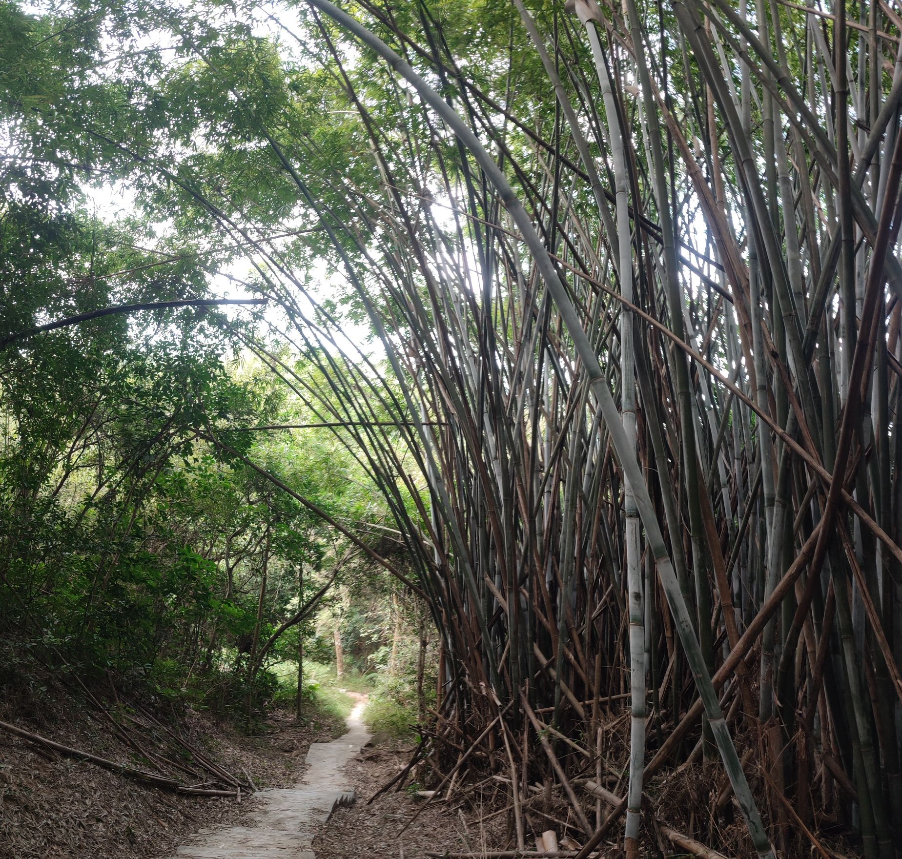 京溪生态公园旅行图片