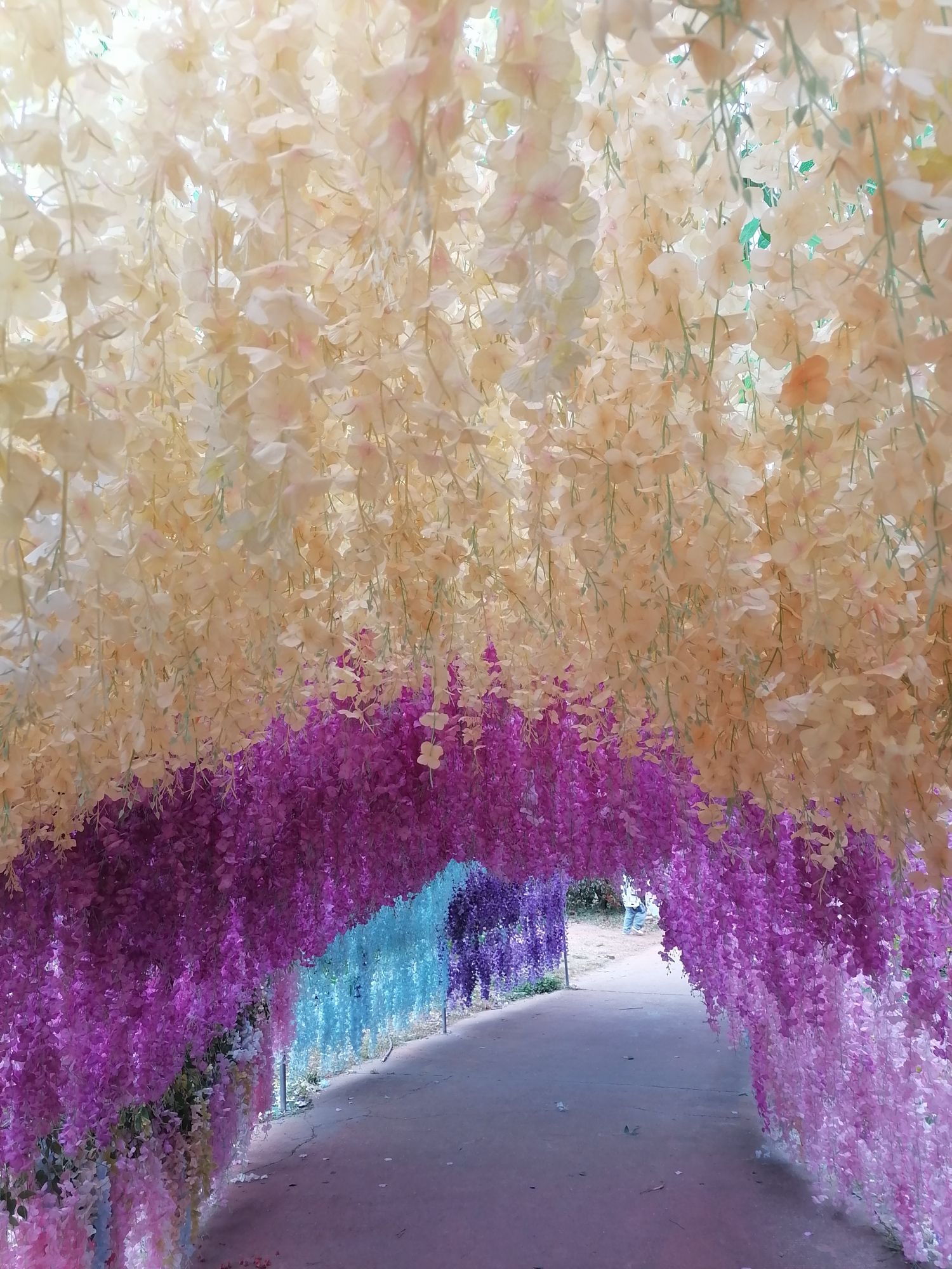 宝塔山樱花园