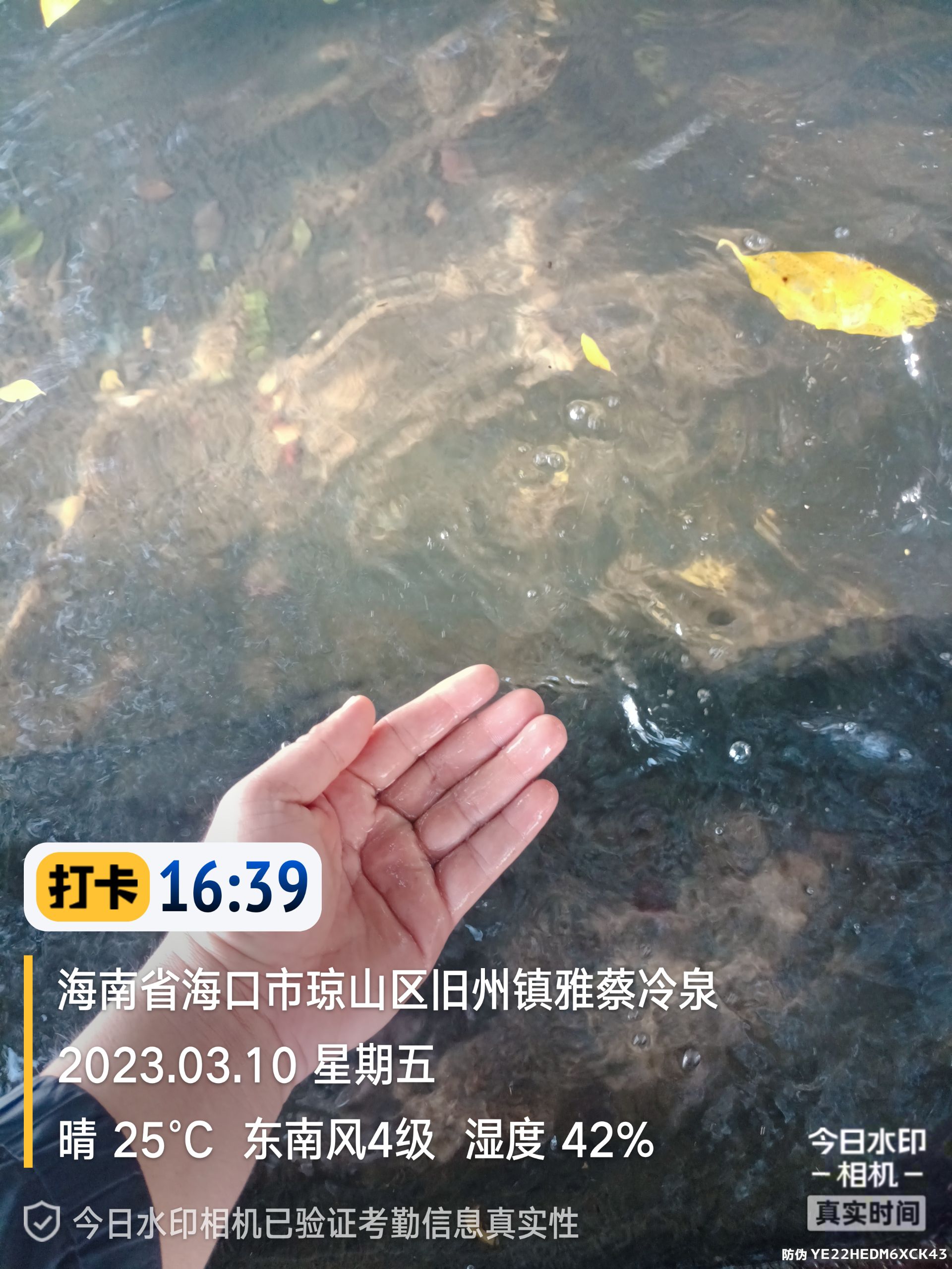 雅蔡冷泉
