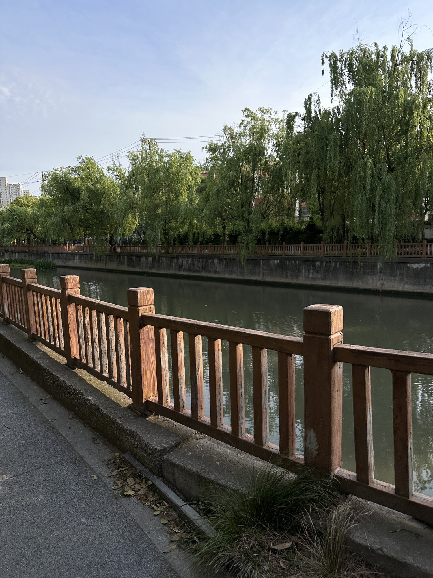 杨家桥滨河绿地