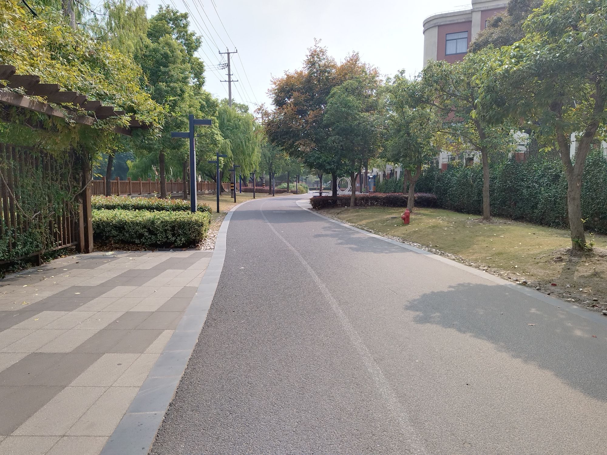 杨家桥滨河绿地旅行图片
