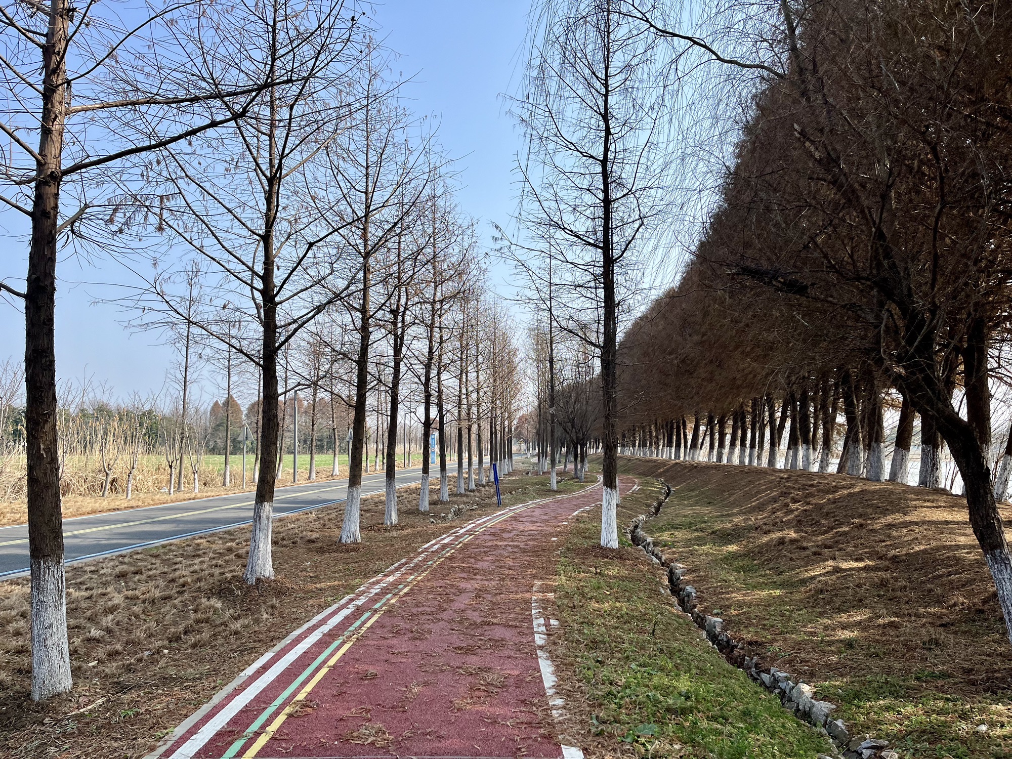 明镜荡水利风景区旅行图片