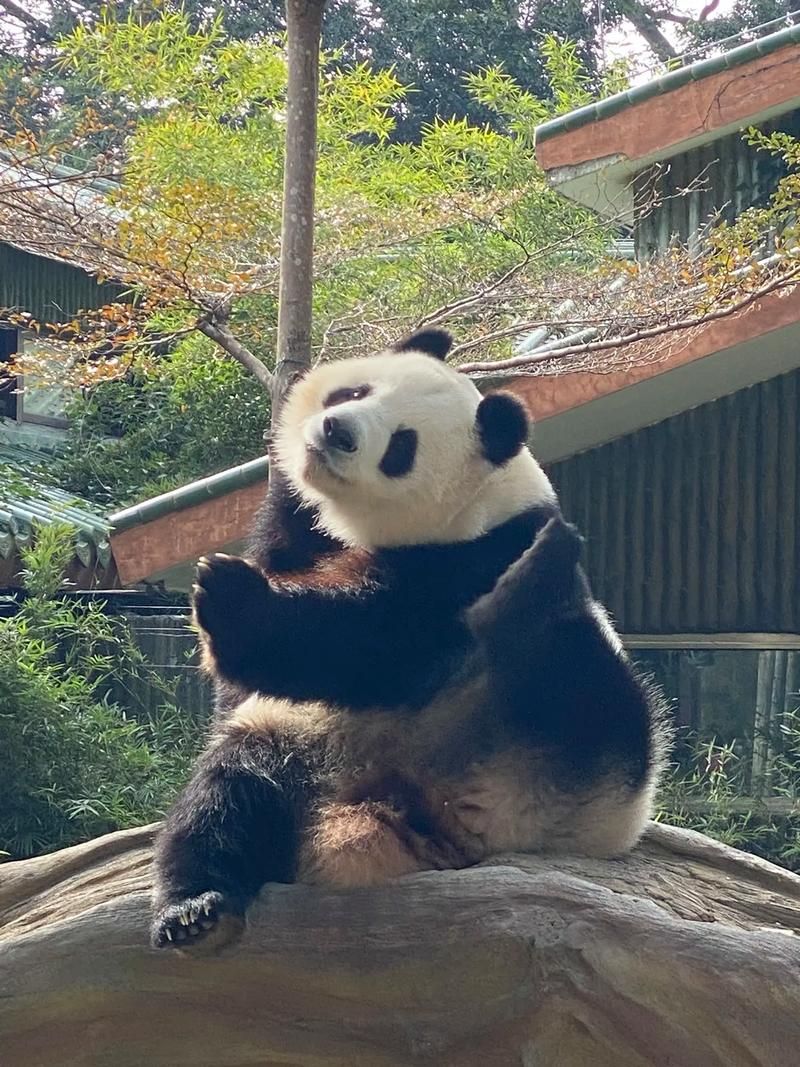 罗庄动物园