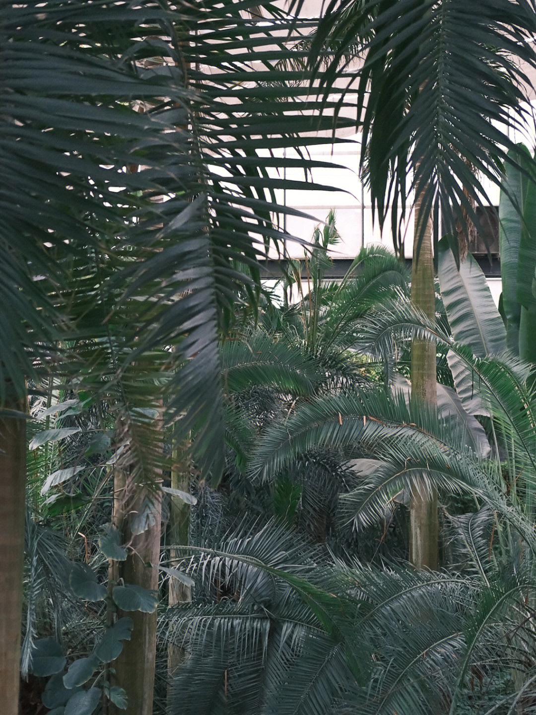 盐城植物园