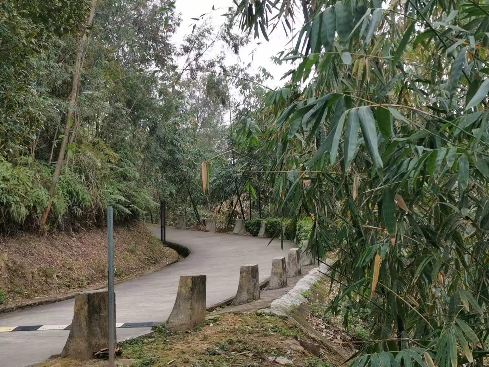 牛岭山公园