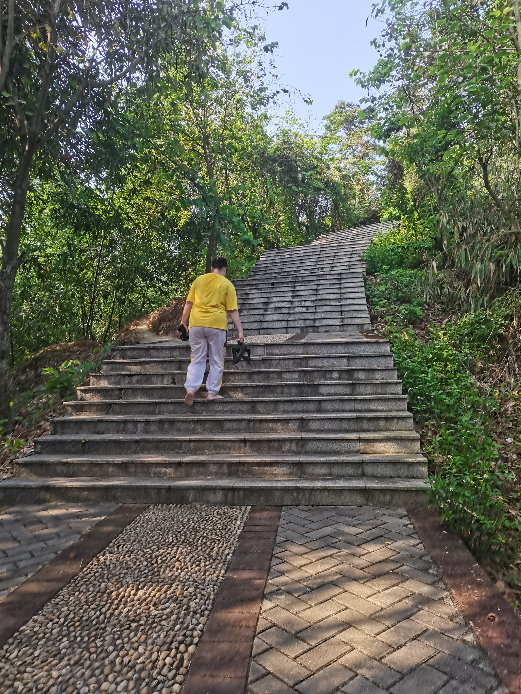 牛岭山公园旅行图片