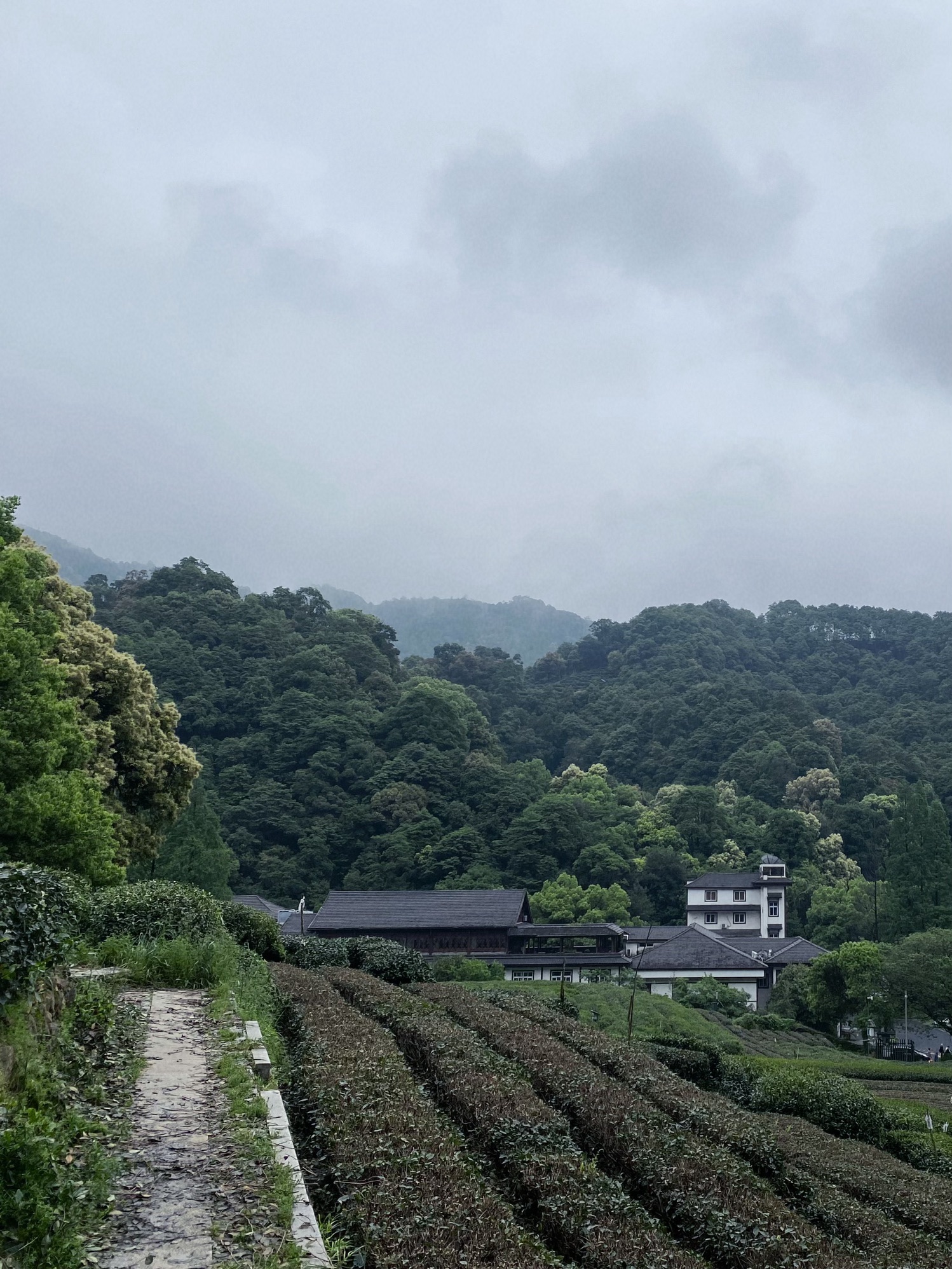 梅家坞茶文化村
