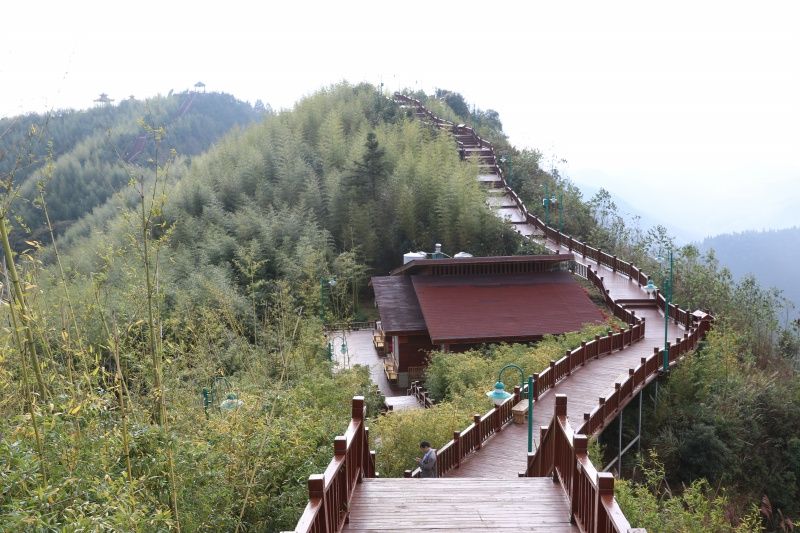 大洞竹海景区