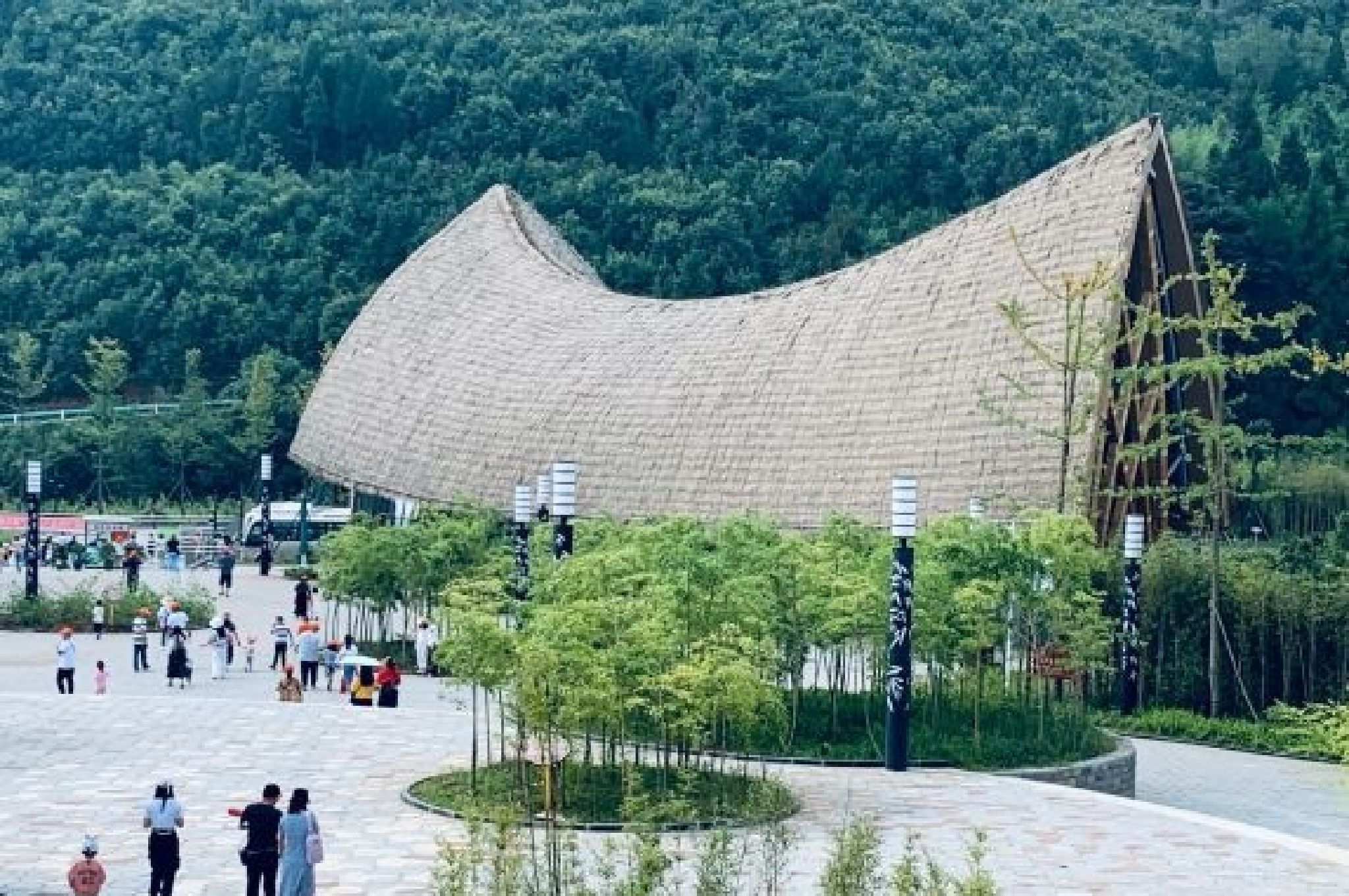 大洞竹海景区旅行图片